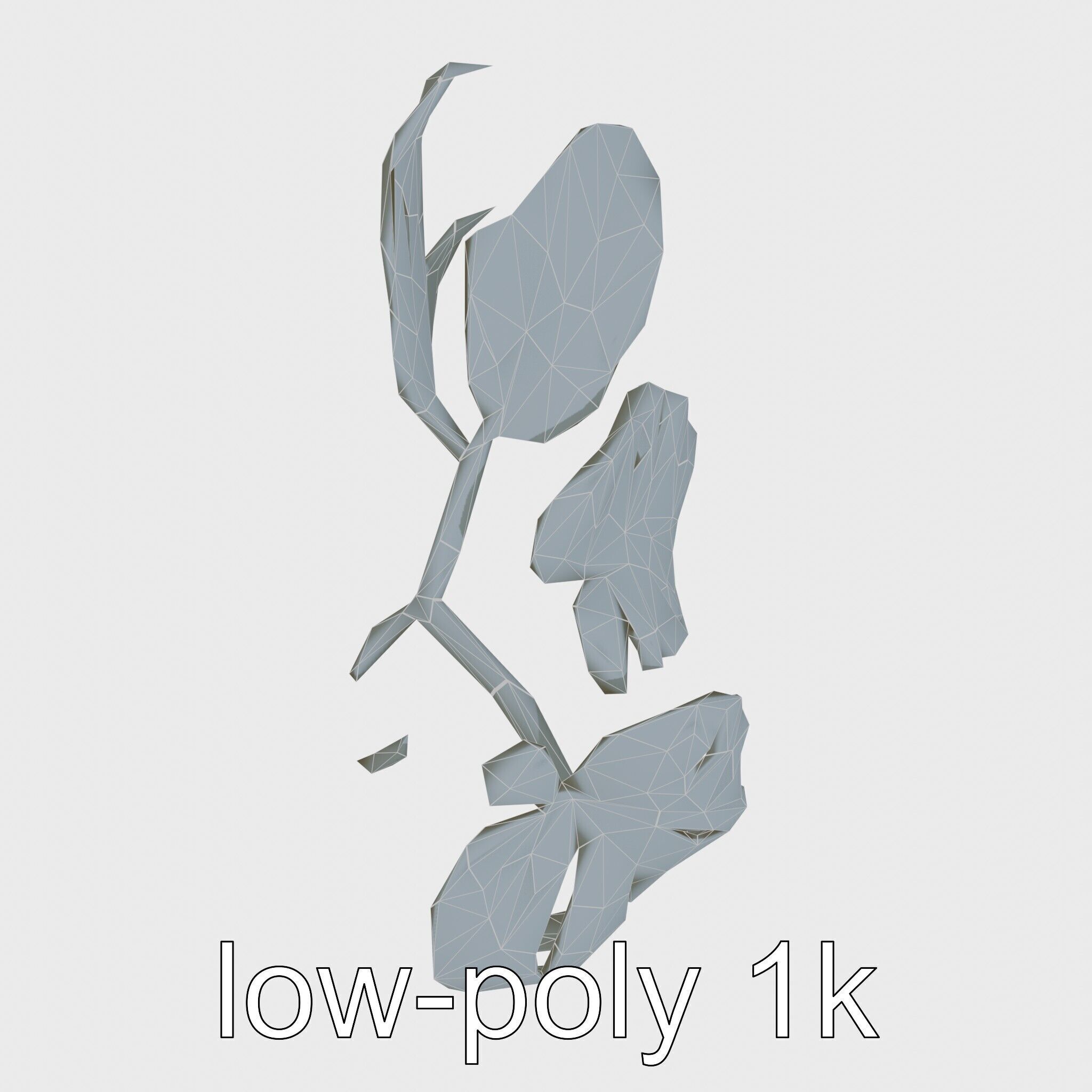 Monstera and Alocasia Leaves Botanical Art model pack Low-poly 3D model_23
