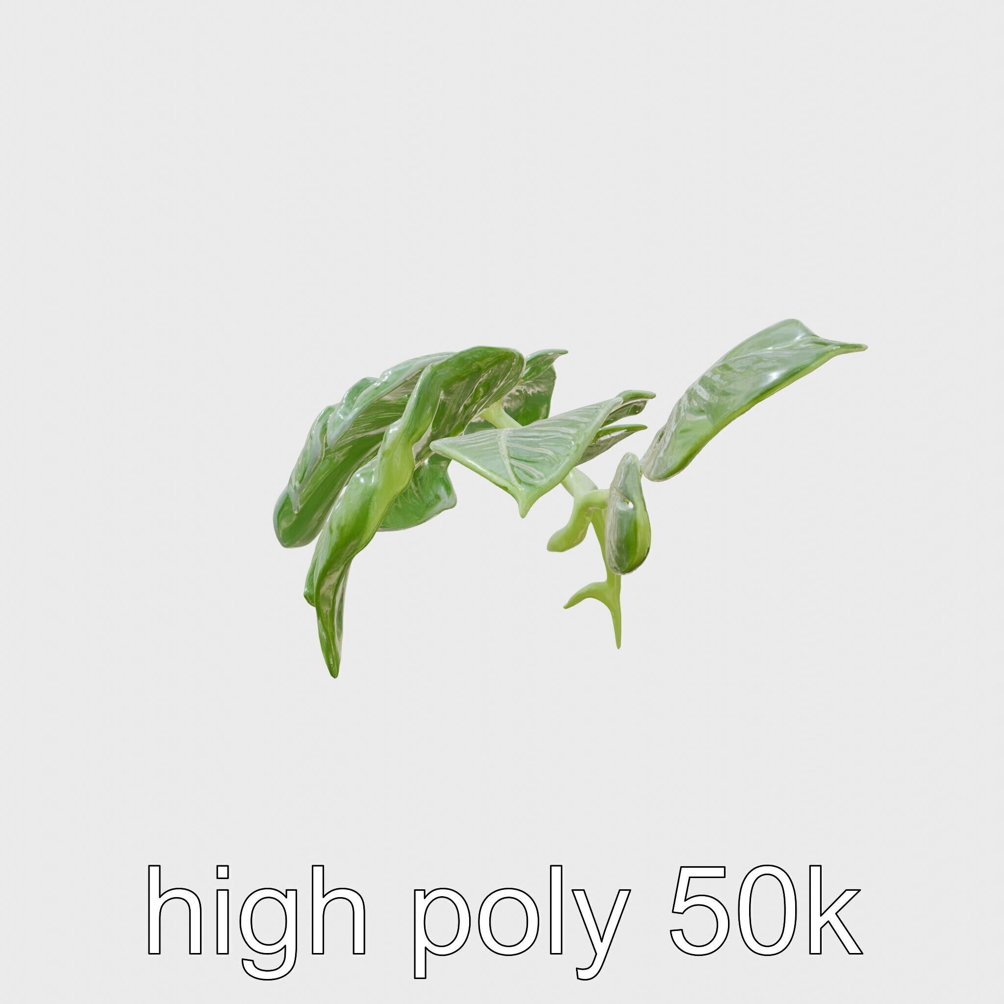 Monstera and Alocasia Leaves Botanical Art model pack Low-poly 3D model_5