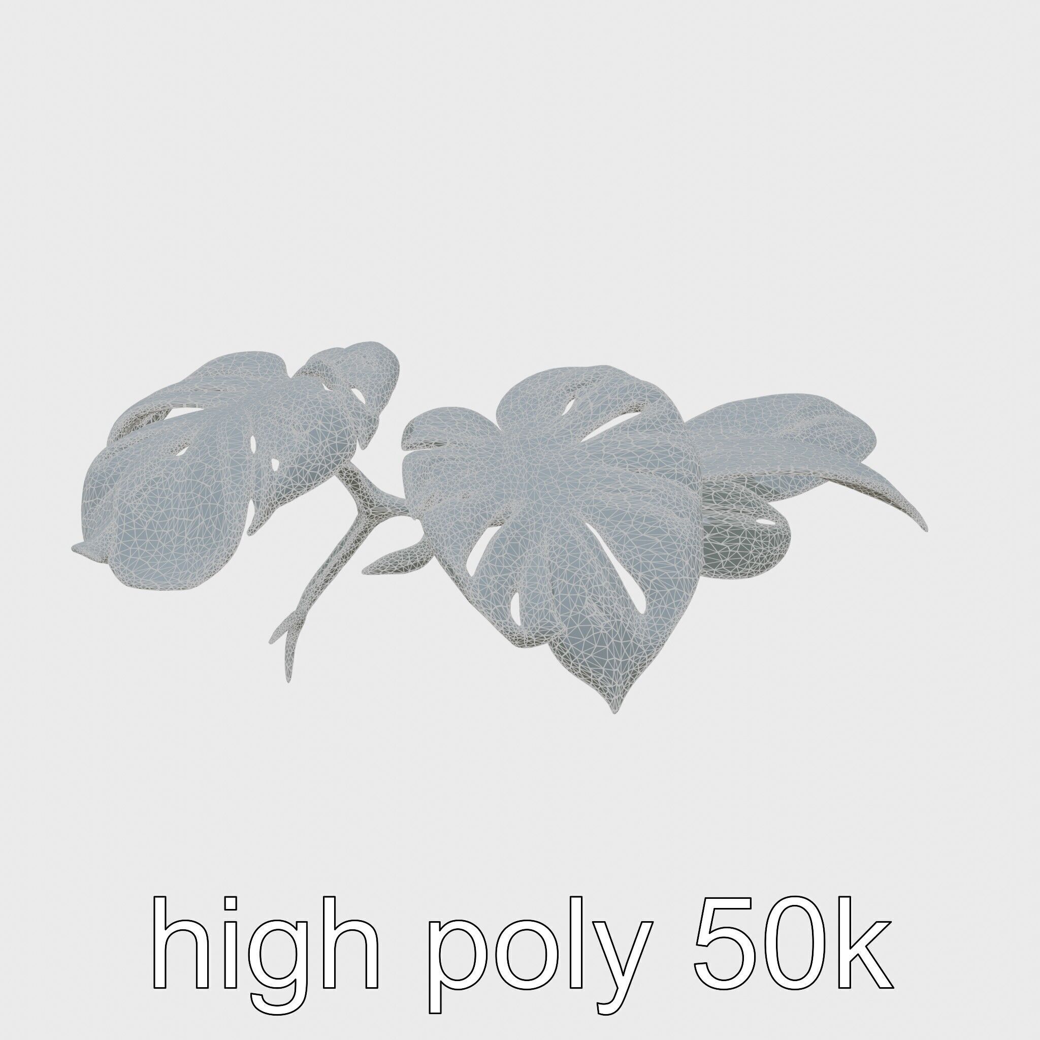 Monstera and Alocasia Leaves Botanical Art model pack Low-poly 3D model_24