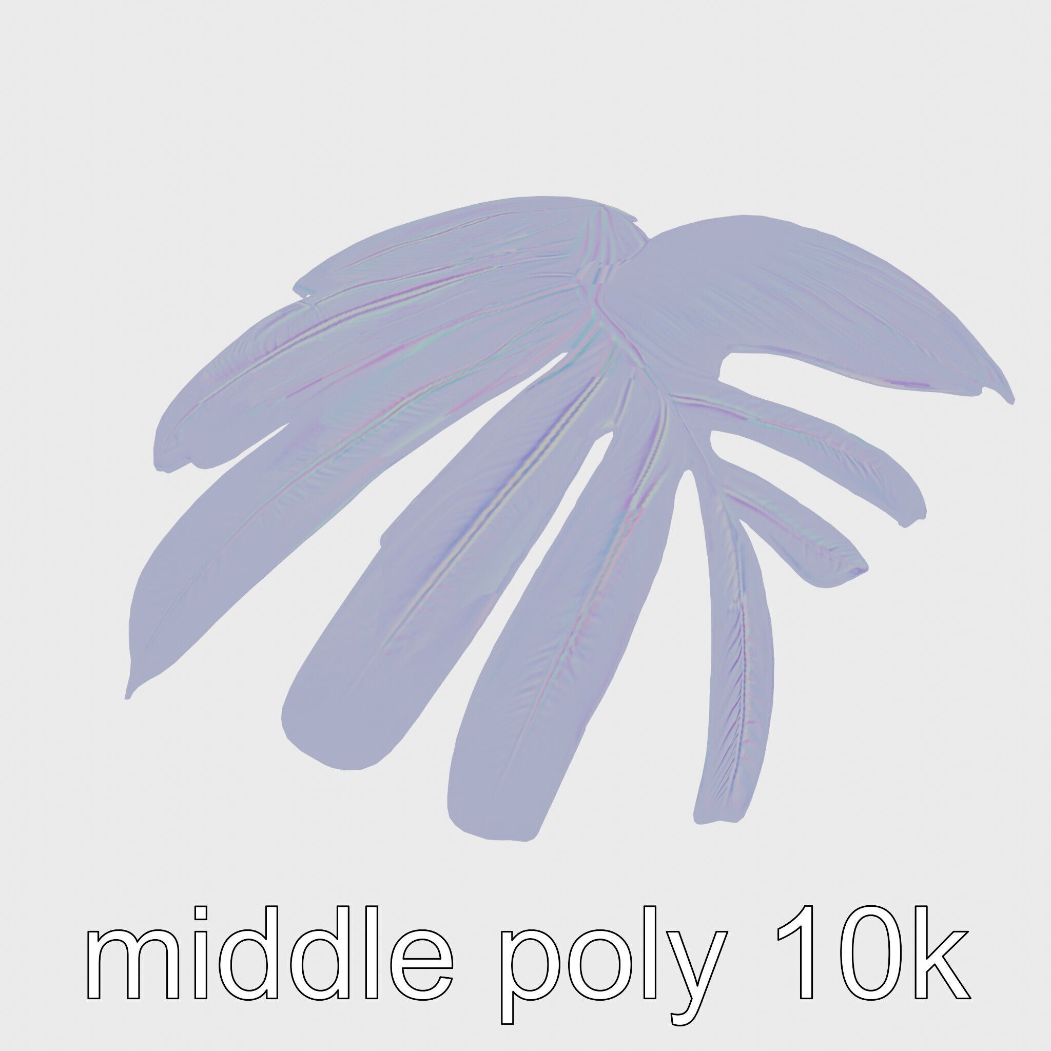 Monstera Leaf Detailed Plant model pack Low-poly 3D model_18