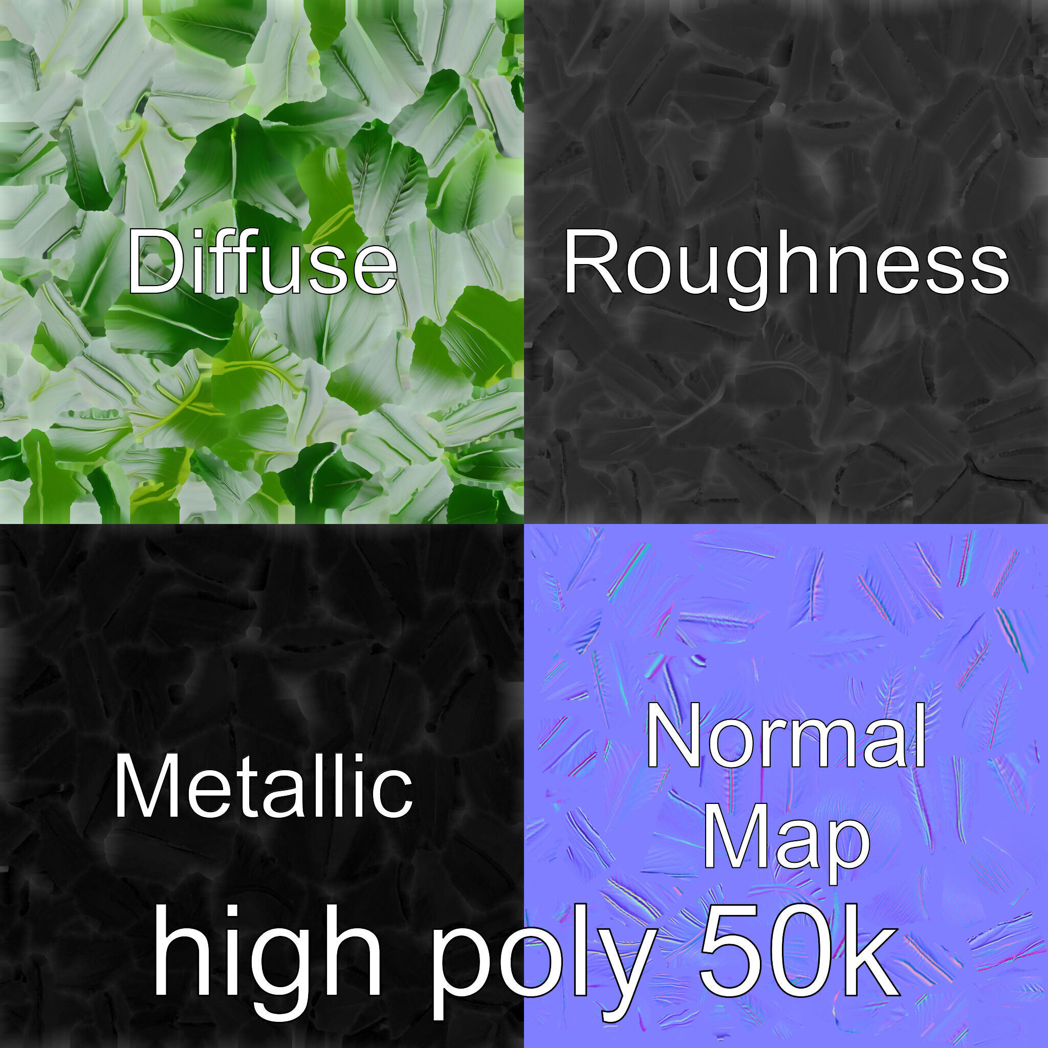 Monstera Leaf Detailed Plant model pack Low-poly 3D model_31