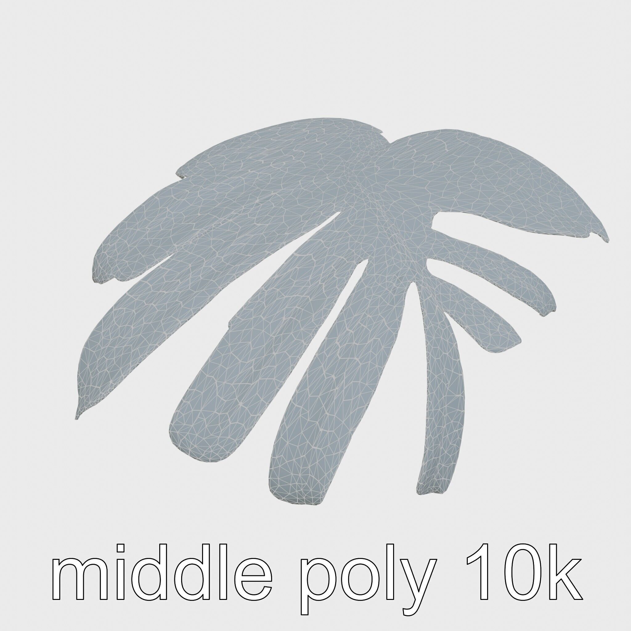Monstera Leaf Detailed Plant model pack Low-poly 3D model_28
