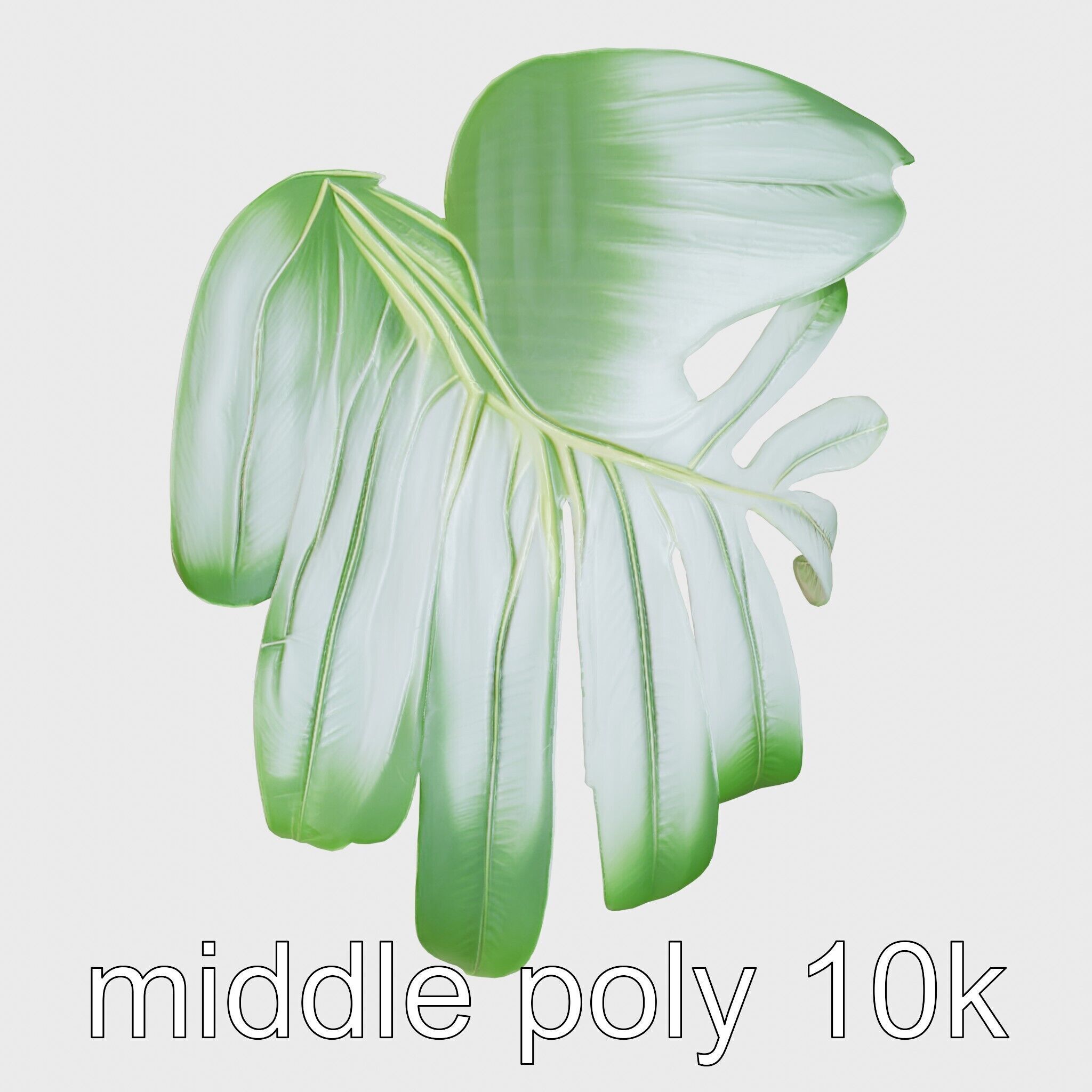 Monstera Leaf Detailed Plant model pack Low-poly 3D model_22