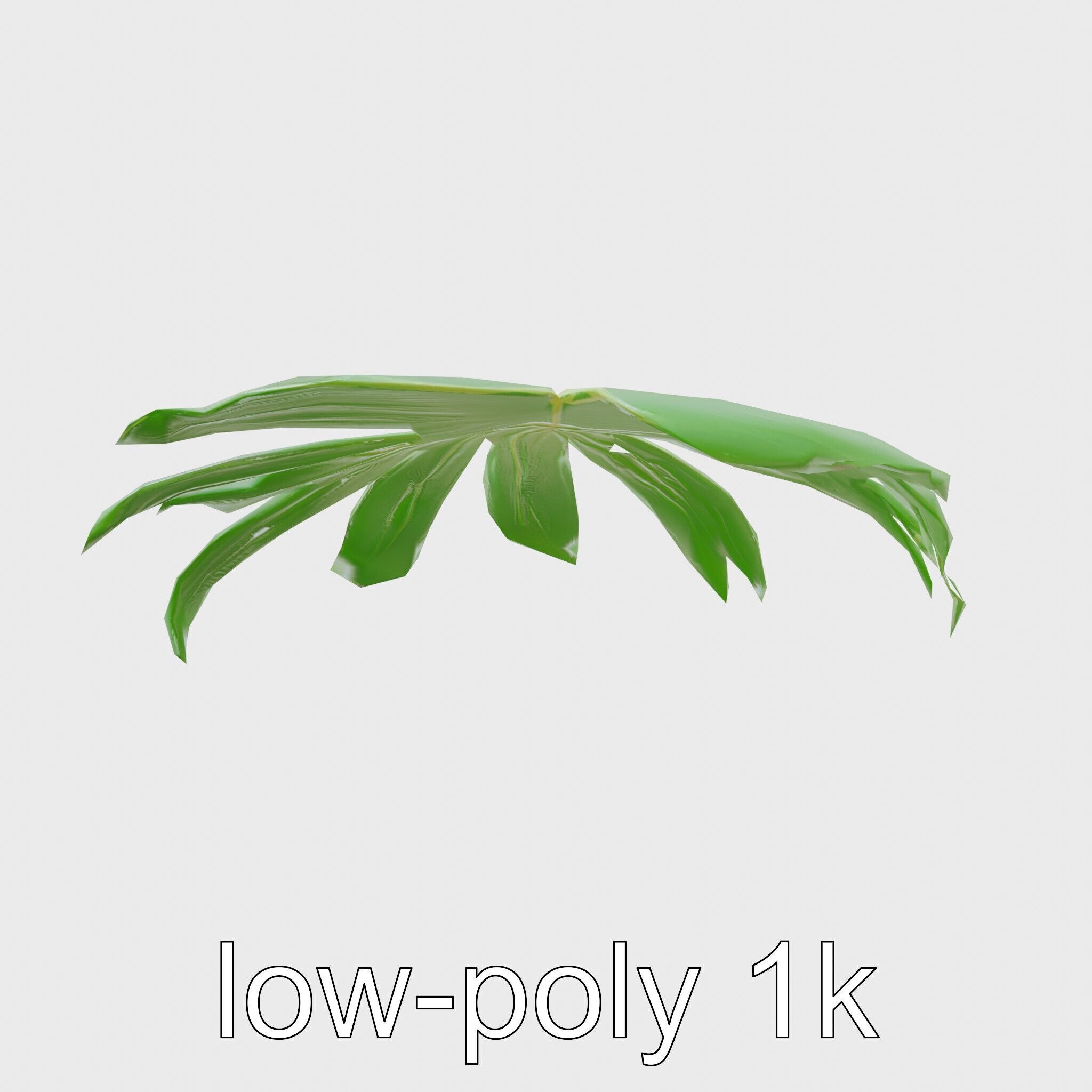 Monstera Leaf Detailed Plant model pack Low-poly 3D model_7