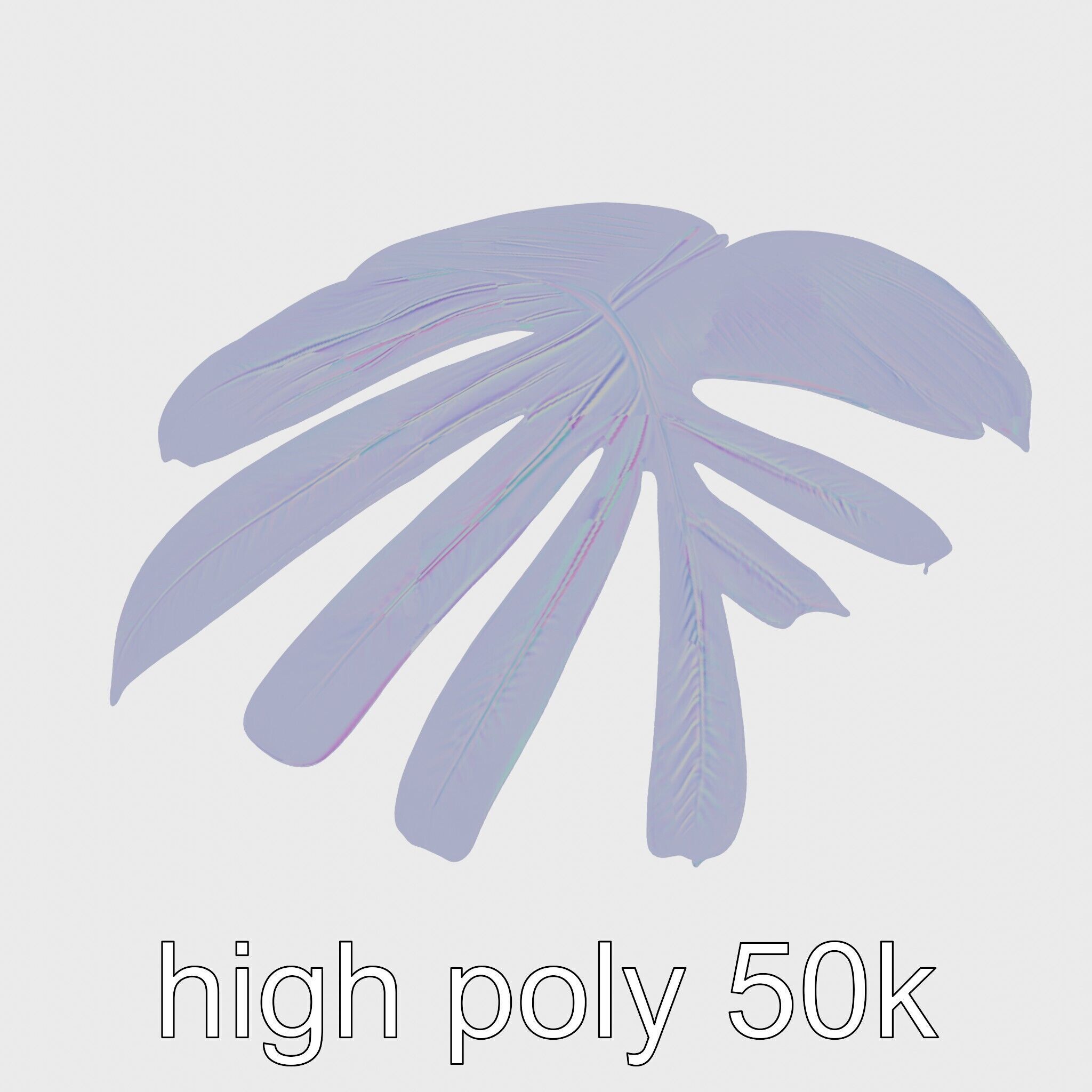 Monstera Leaf Detailed Plant model pack Low-poly 3D model_21