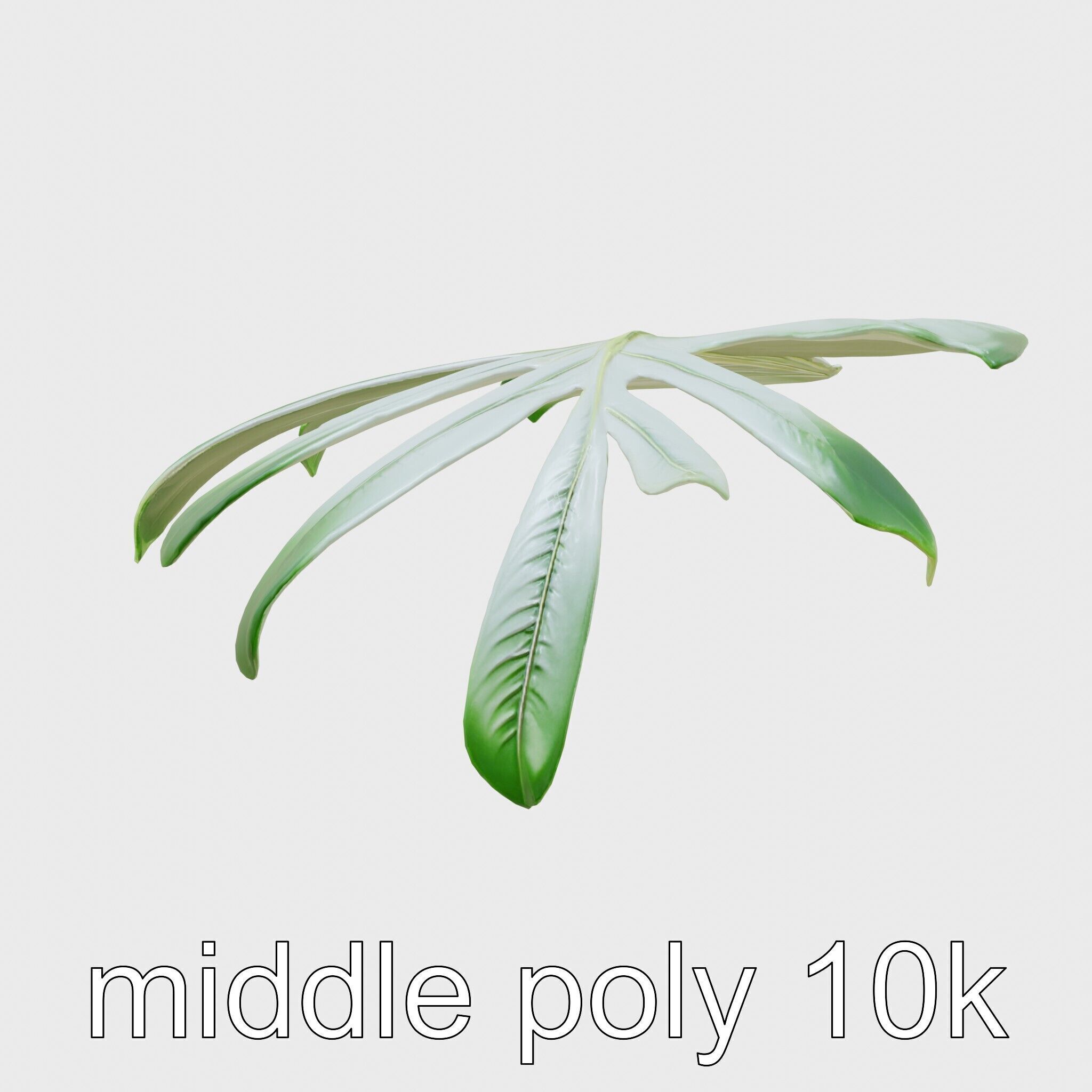 Monstera Leaf Detailed Plant model pack Low-poly 3D model_26