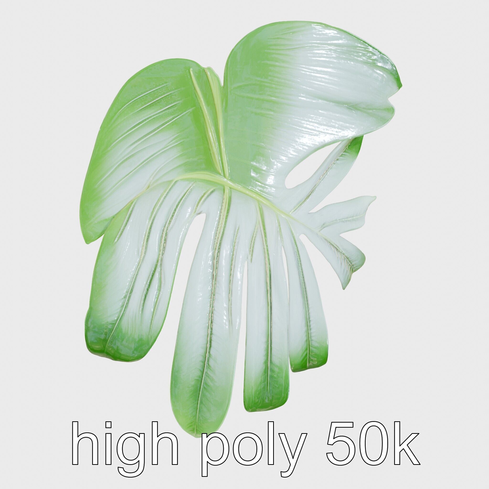 Monstera Leaf Detailed Plant model pack Low-poly 3D model_27