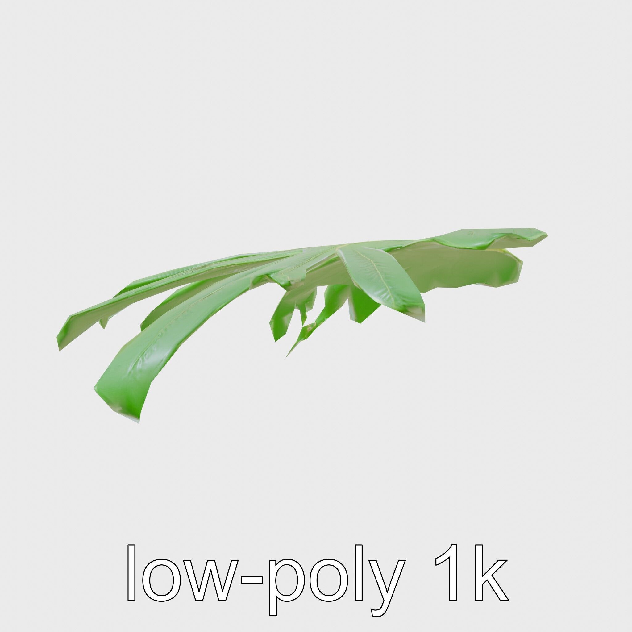 Monstera Leaf Detailed Plant model pack Low-poly 3D model_15