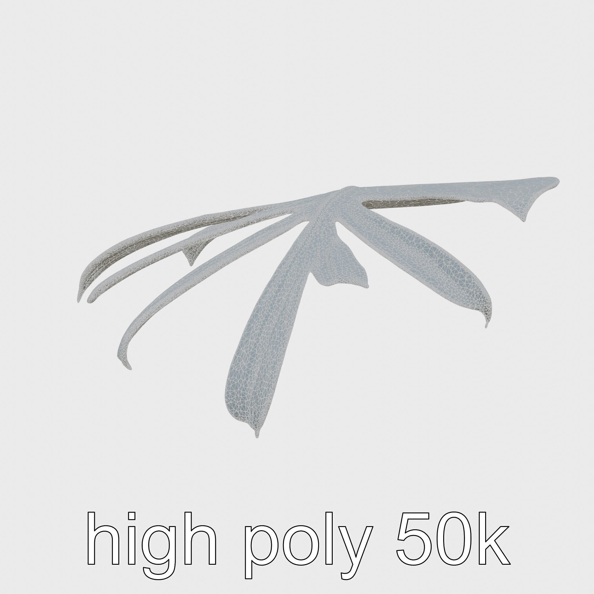 Monstera Leaf Detailed Plant model pack Low-poly 3D model_19
