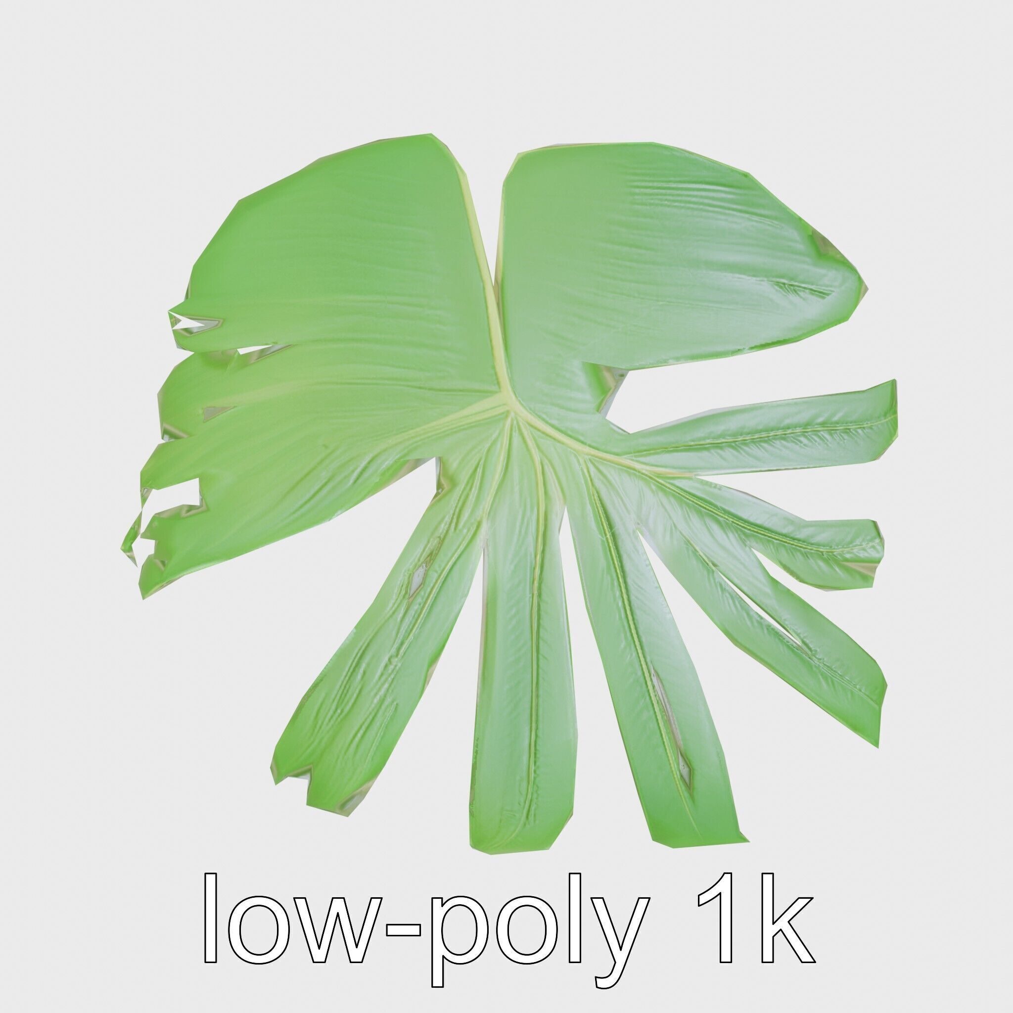 Monstera Leaf Detailed Plant model pack Low-poly 3D model_25