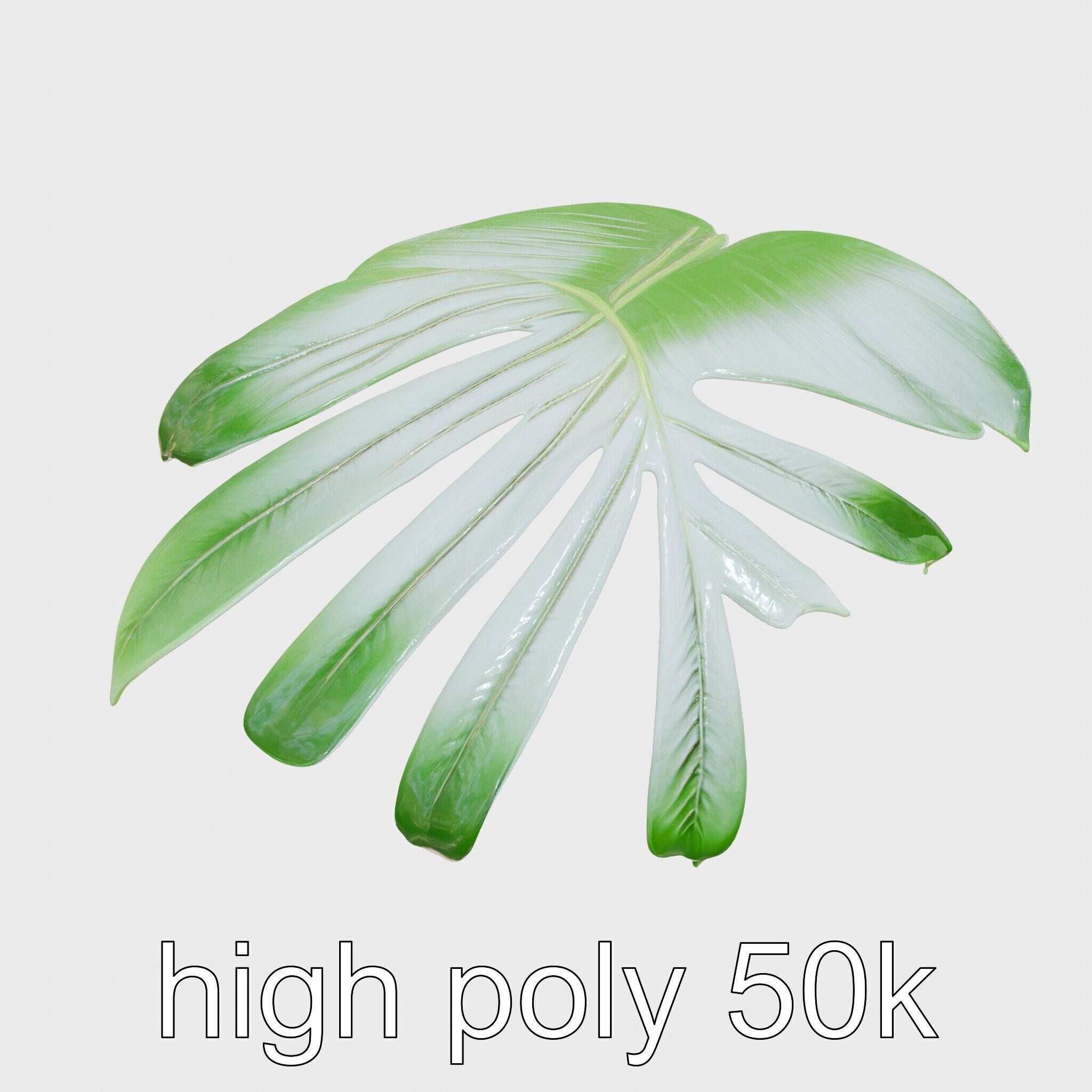Monstera Leaf Detailed Plant model pack Low-poly 3D model_11