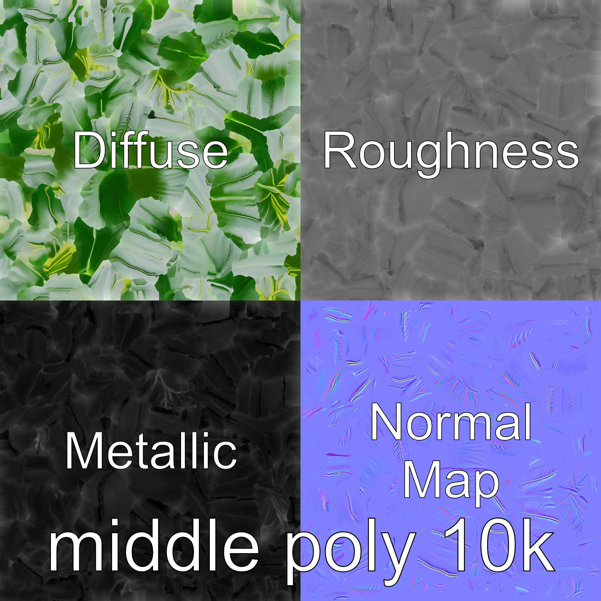 Monstera Leaf Detailed Plant model pack Low-poly 3D model_33