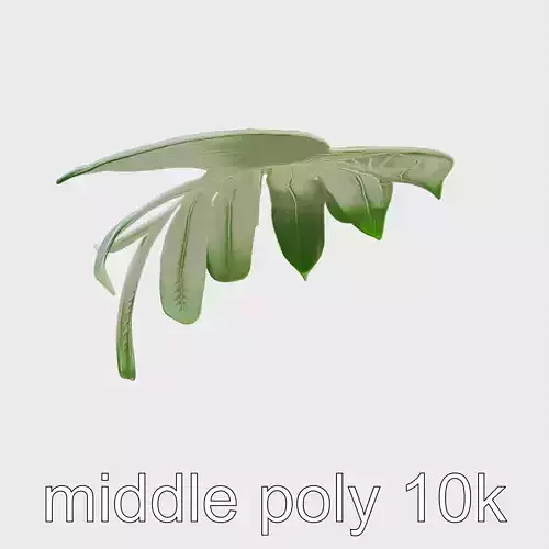 Monstera Leaf Detailed Plant model pack Low-poly 3D model