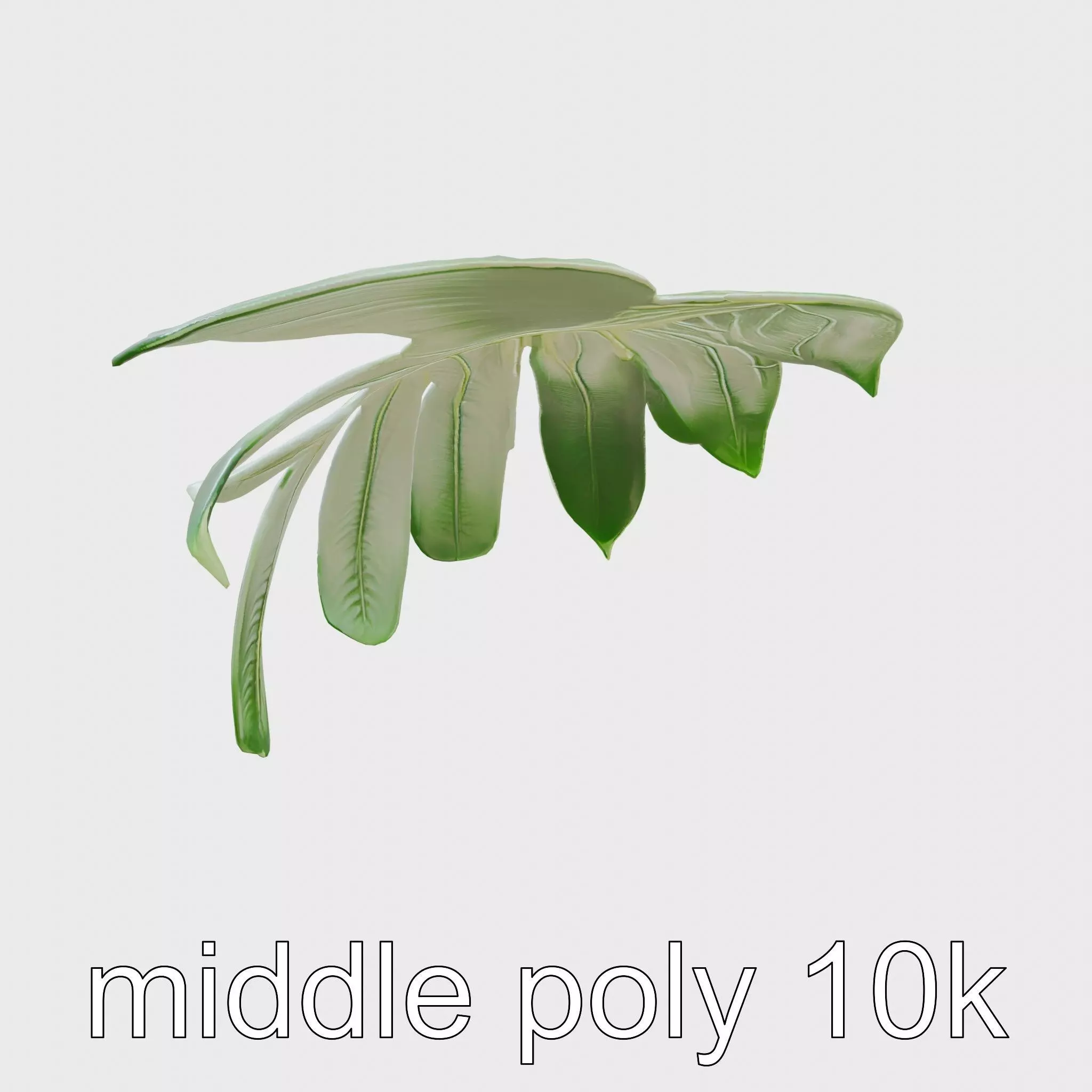 Monstera Leaf Detailed Plant model pack Low-poly 3D model_0