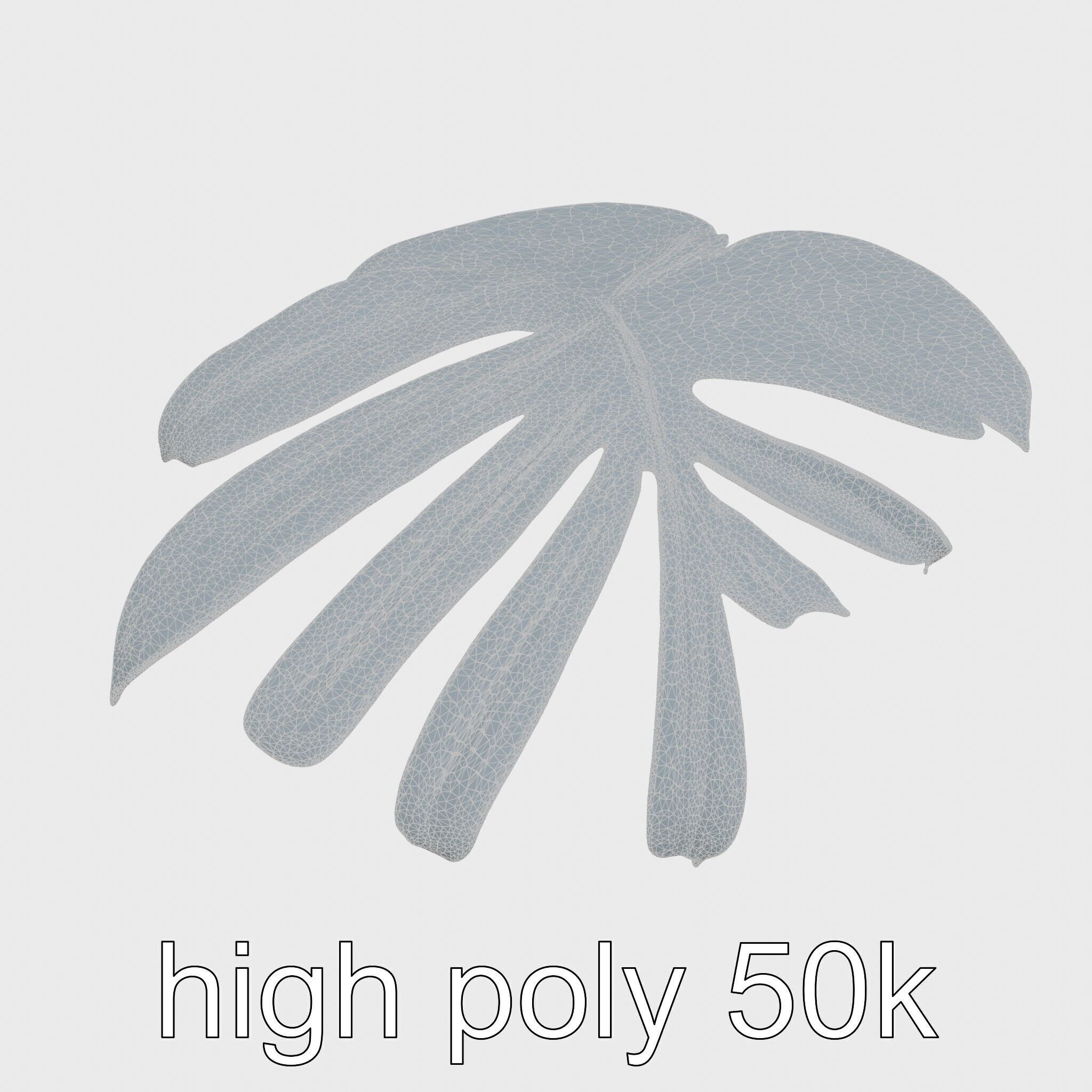 Monstera Leaf Detailed Plant model pack Low-poly 3D model_17