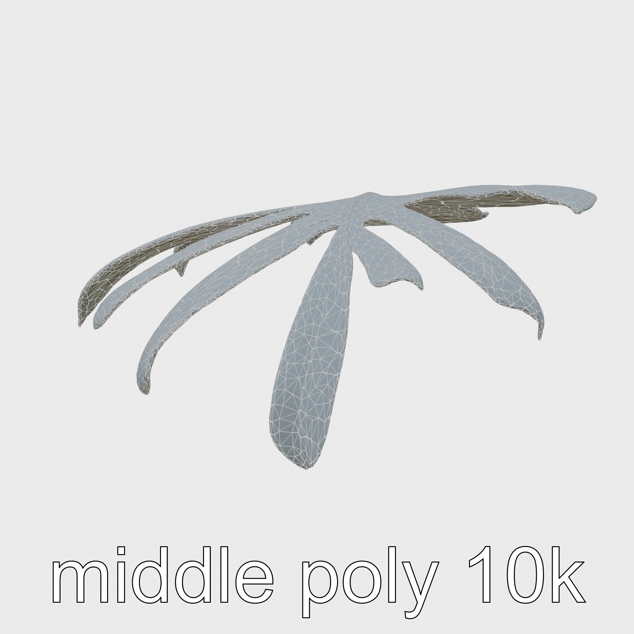 Monstera Leaf Detailed Plant model pack Low-poly 3D model_29