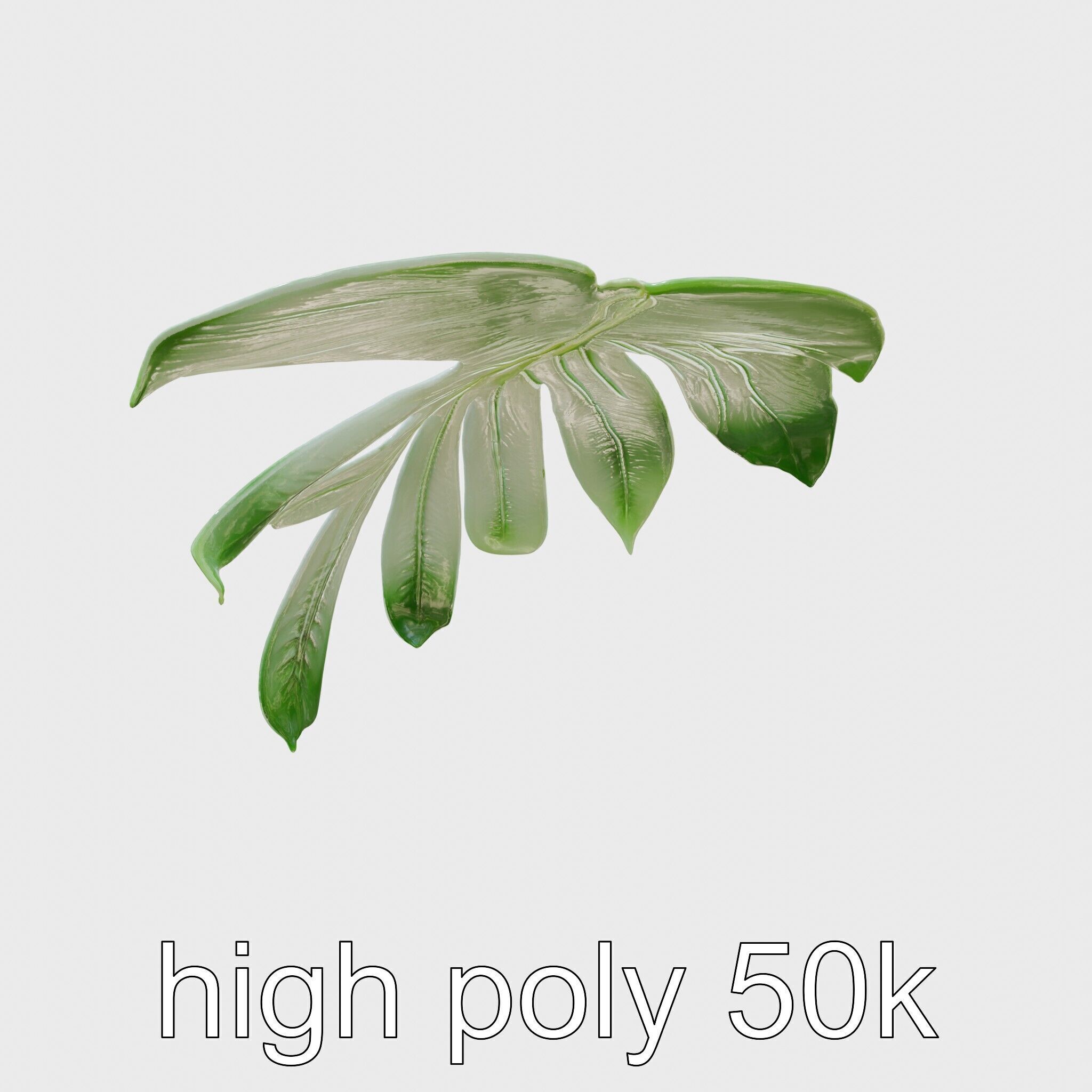 Monstera Leaf Detailed Plant model pack Low-poly 3D model_5
