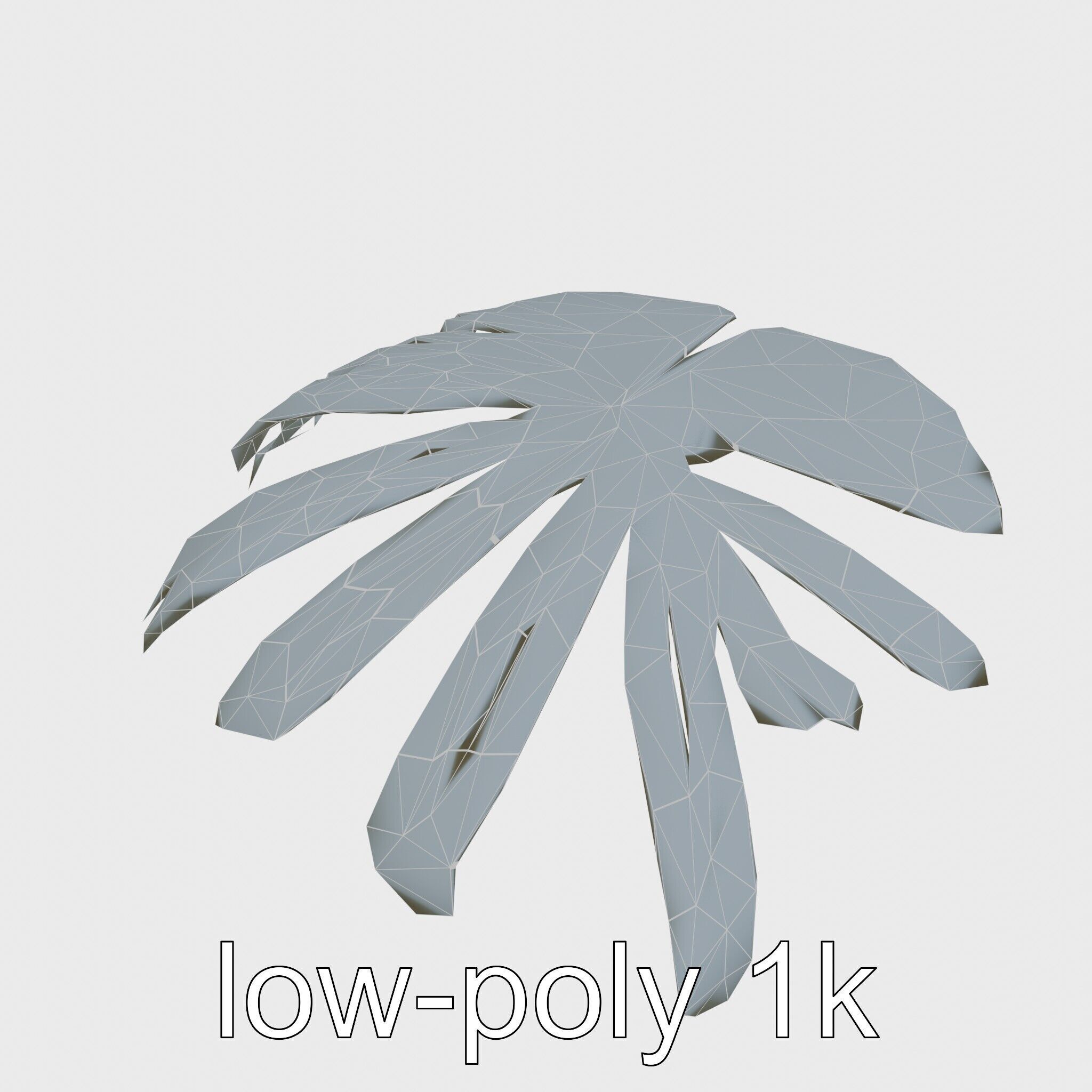 Monstera Leaf Detailed Plant model pack Low-poly 3D model_23