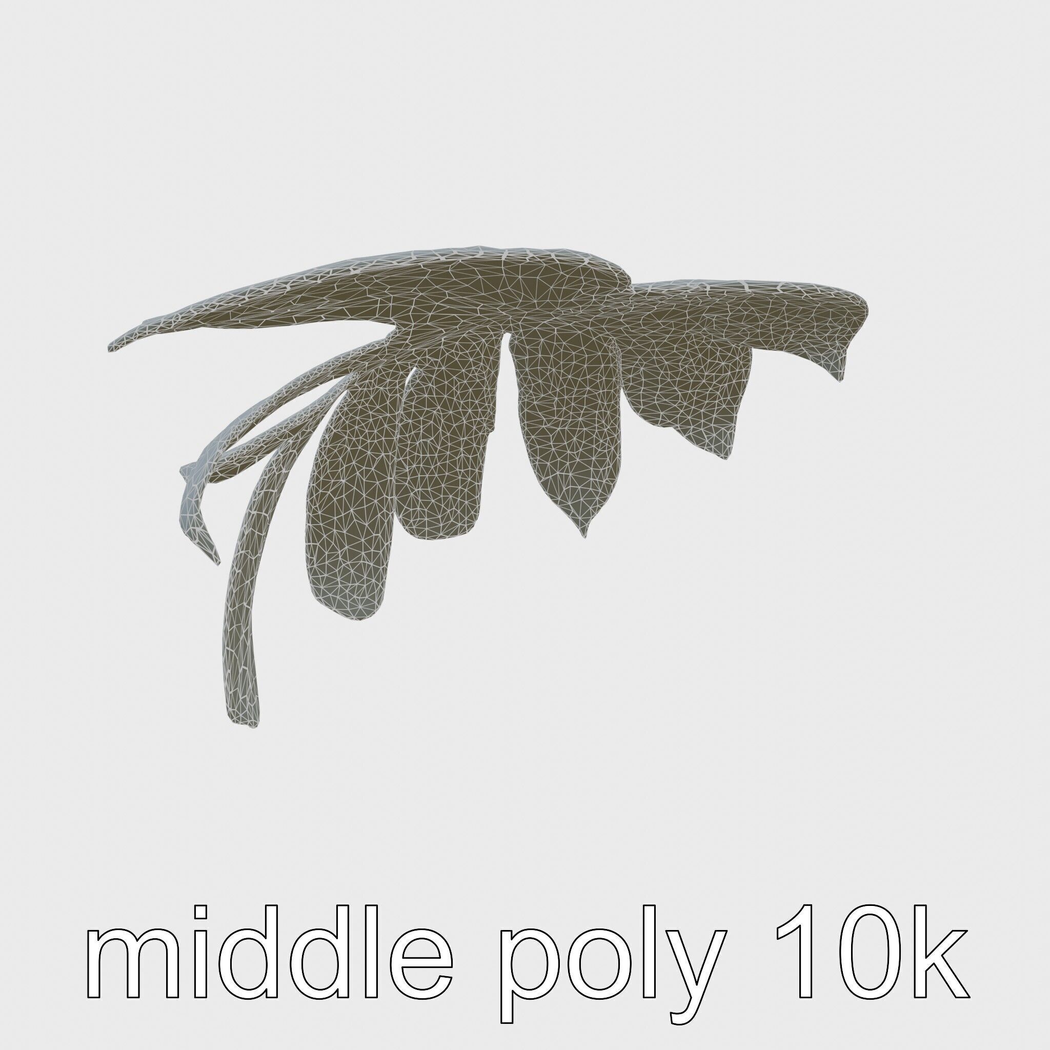 Monstera Leaf Detailed Plant model pack Low-poly 3D model_9