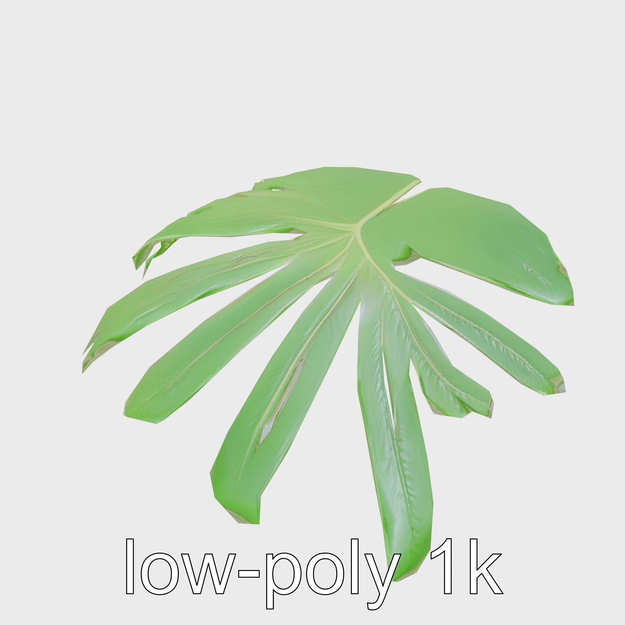 Monstera Leaf Detailed Plant model pack Low-poly 3D model_13