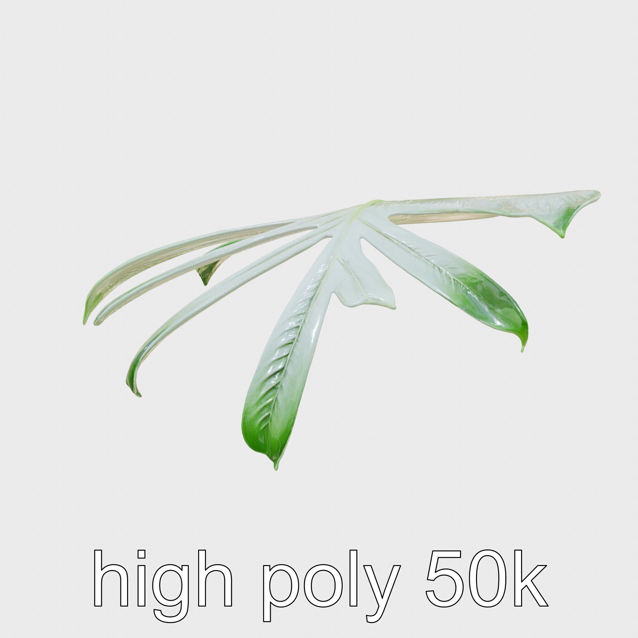 Monstera Leaf Detailed Plant model pack Low-poly 3D model_14