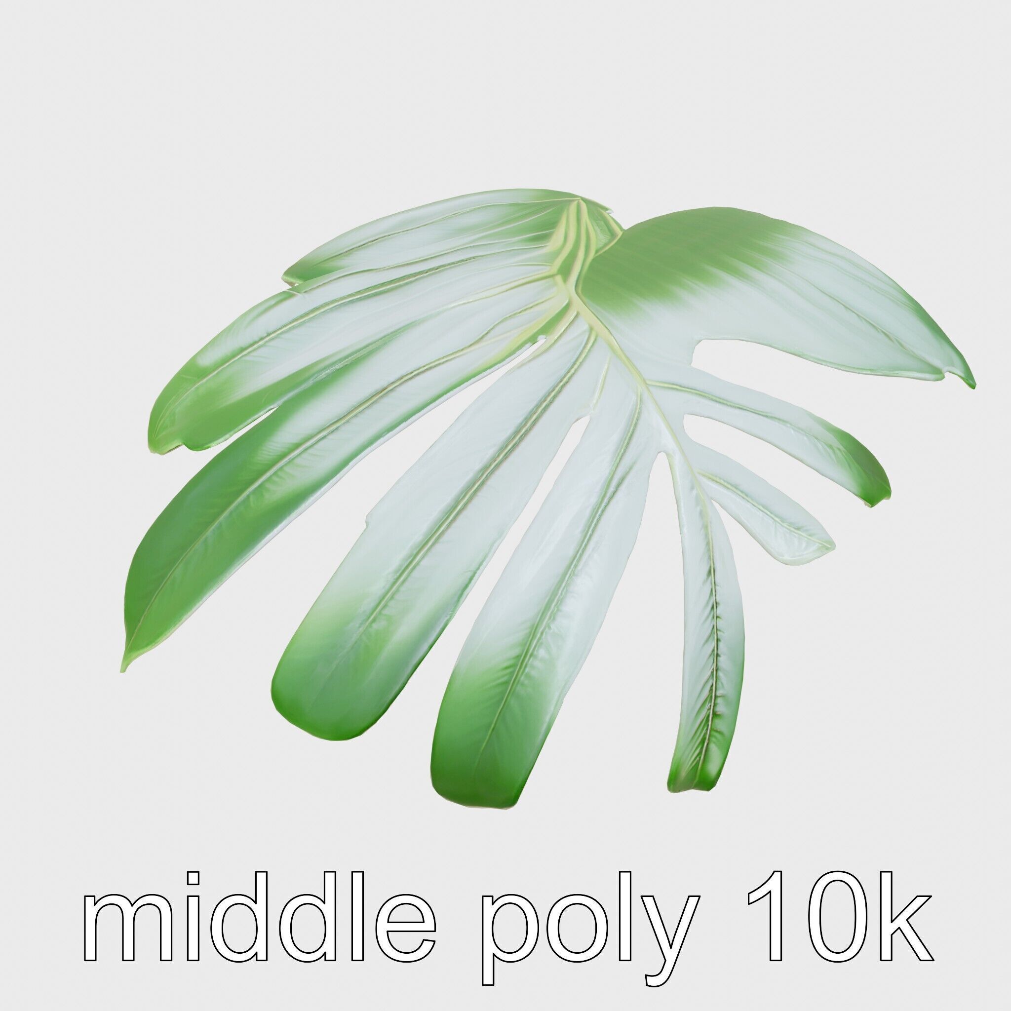 Monstera Leaf Detailed Plant model pack Low-poly 3D model_12