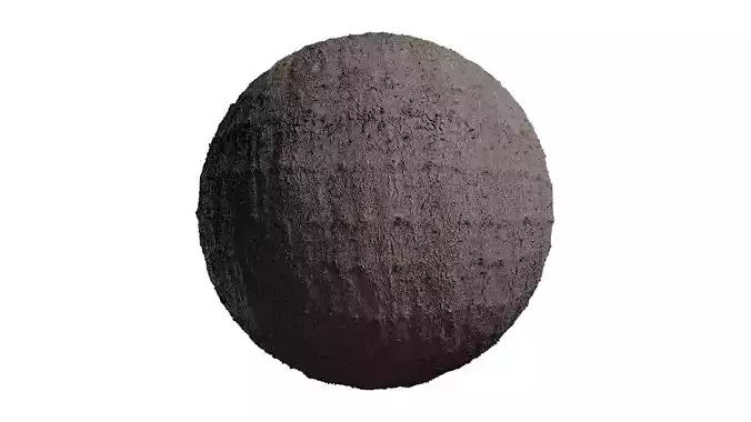 Anydrafts Abies fabri Bark 03