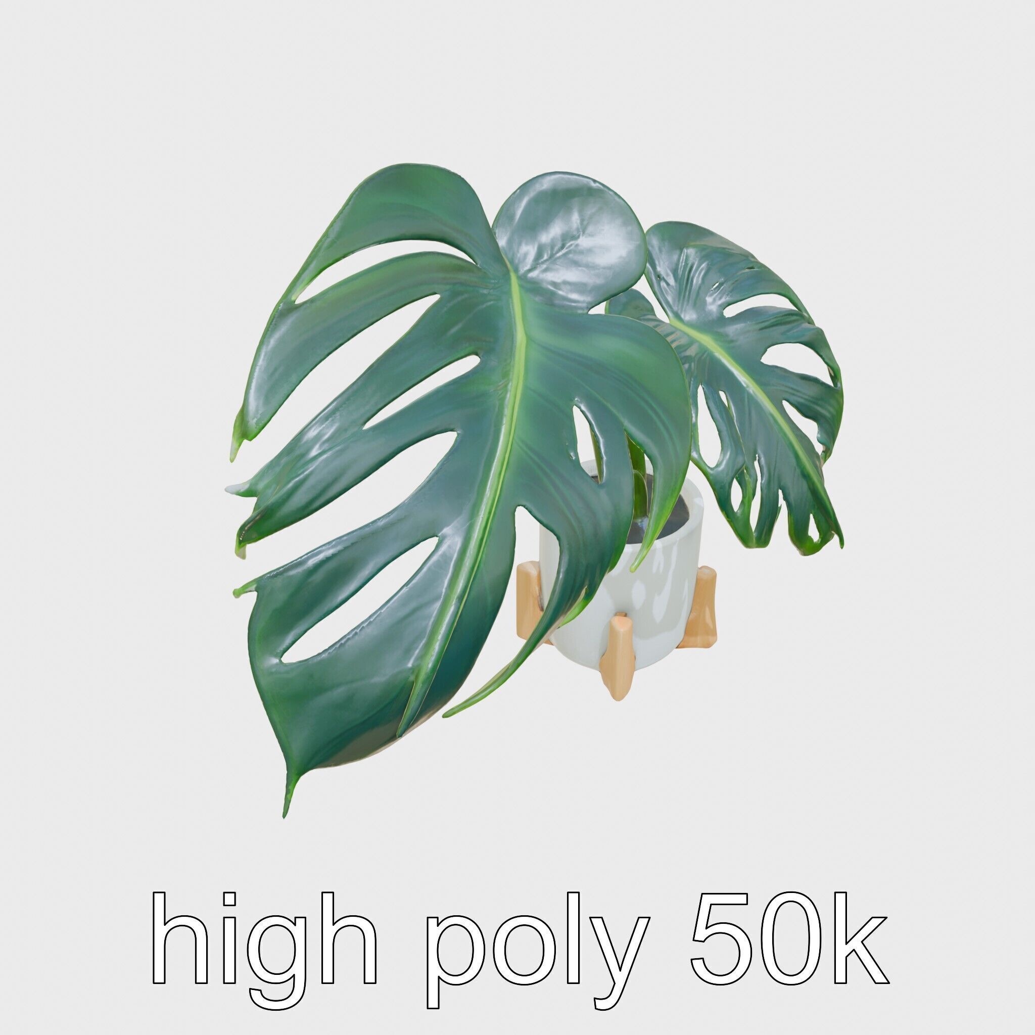 Monstera Plant in Ceramic Pot model pack Low-poly 3D model_20