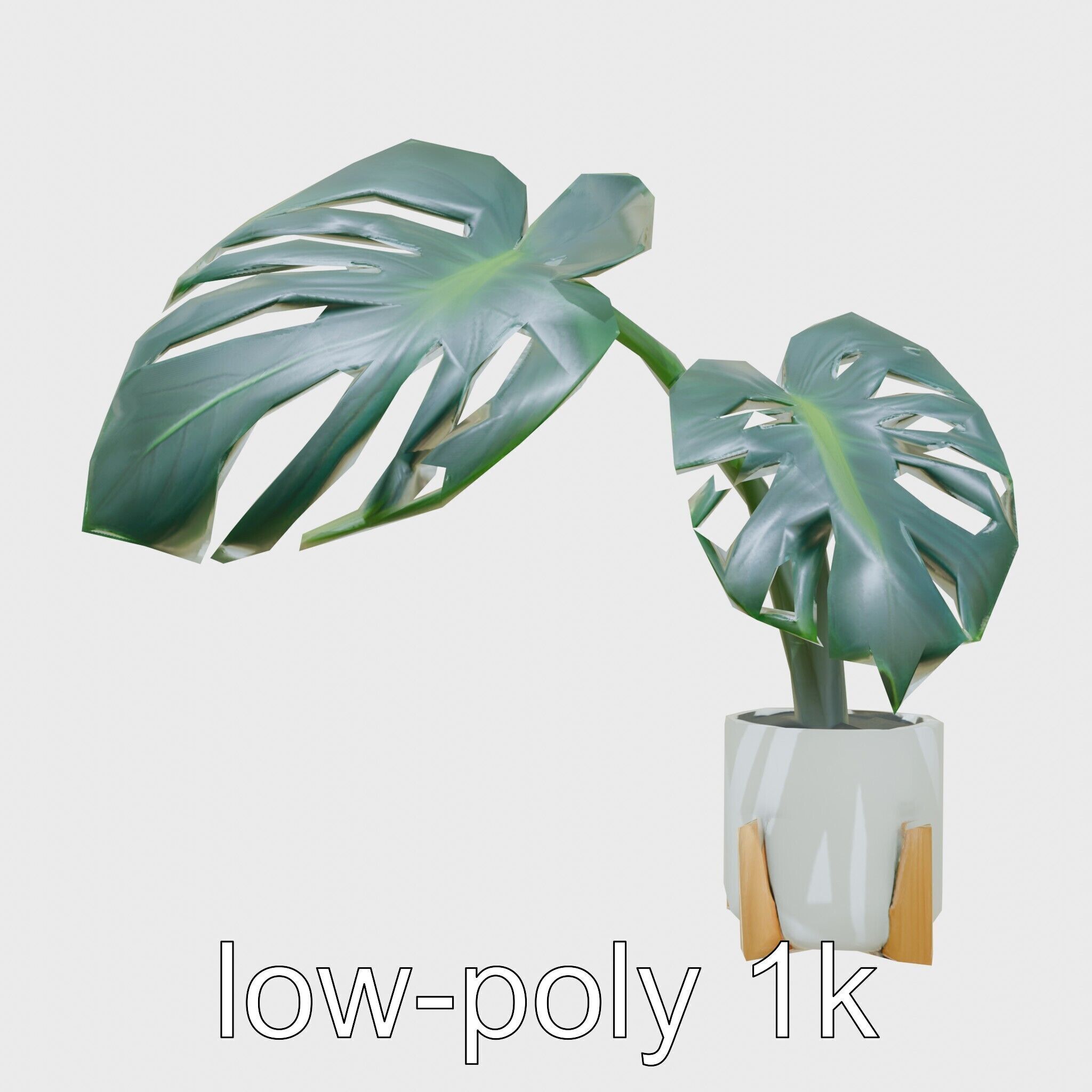 Monstera Plant in Ceramic Pot model pack Low-poly 3D model_15