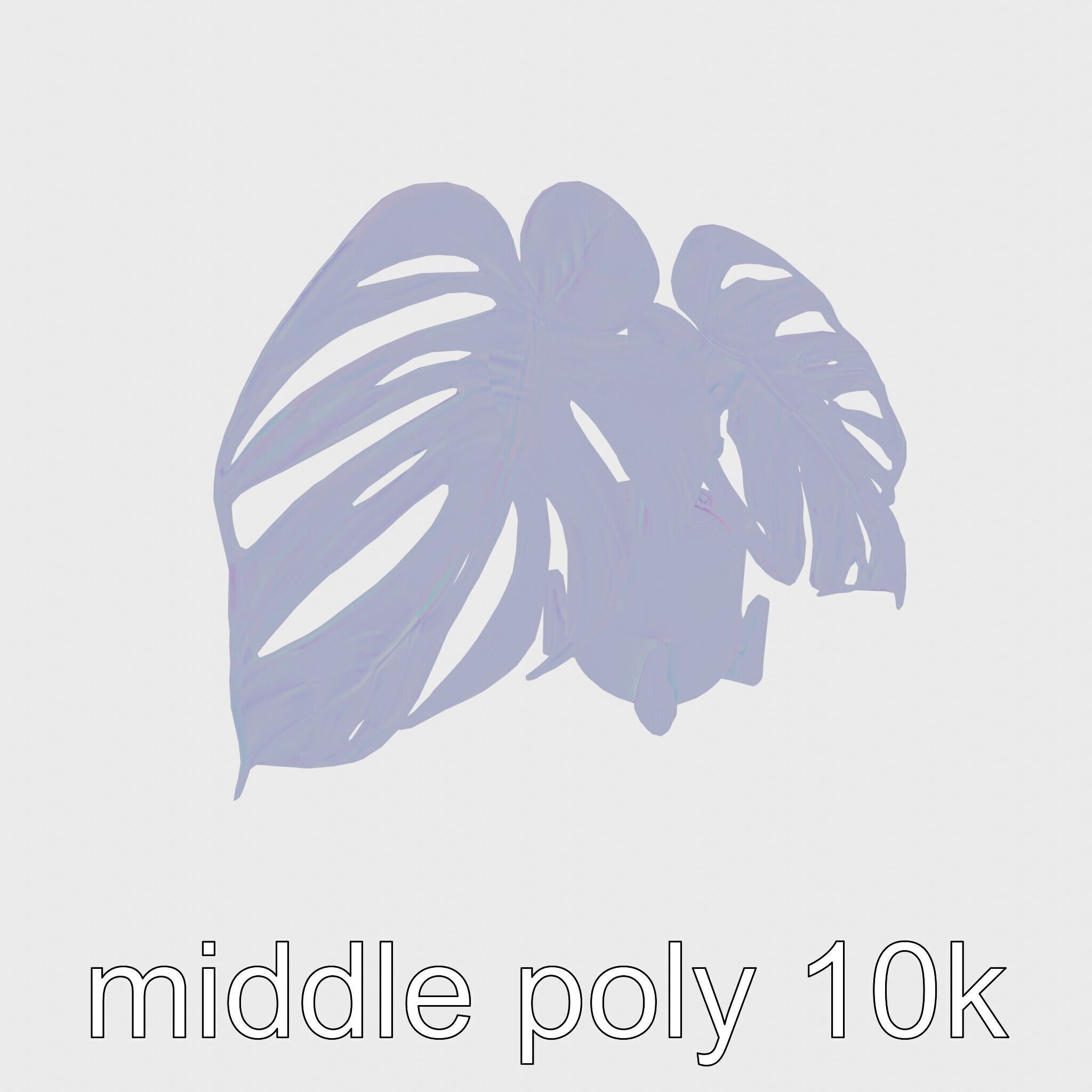 Monstera Plant in Ceramic Pot model pack Low-poly 3D model_24