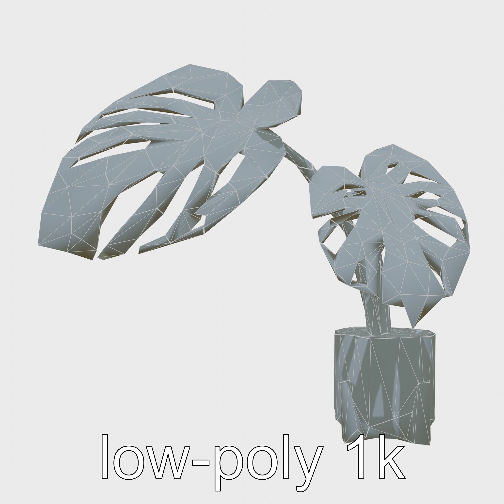 Monstera Plant in Ceramic Pot model pack Low-poly 3D model_19
