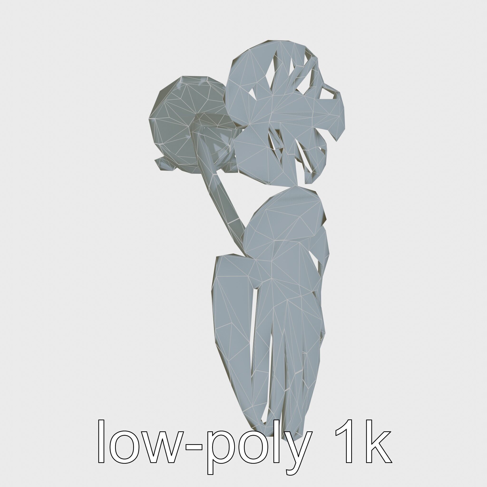 Monstera Plant in Ceramic Pot model pack Low-poly 3D model_29