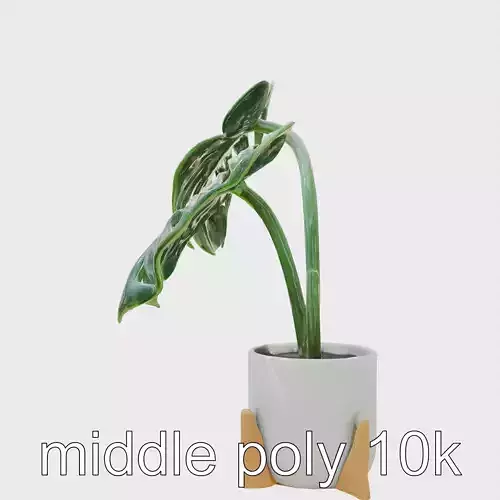 Monstera Plant in Ceramic Pot model pack Low-poly 3D model