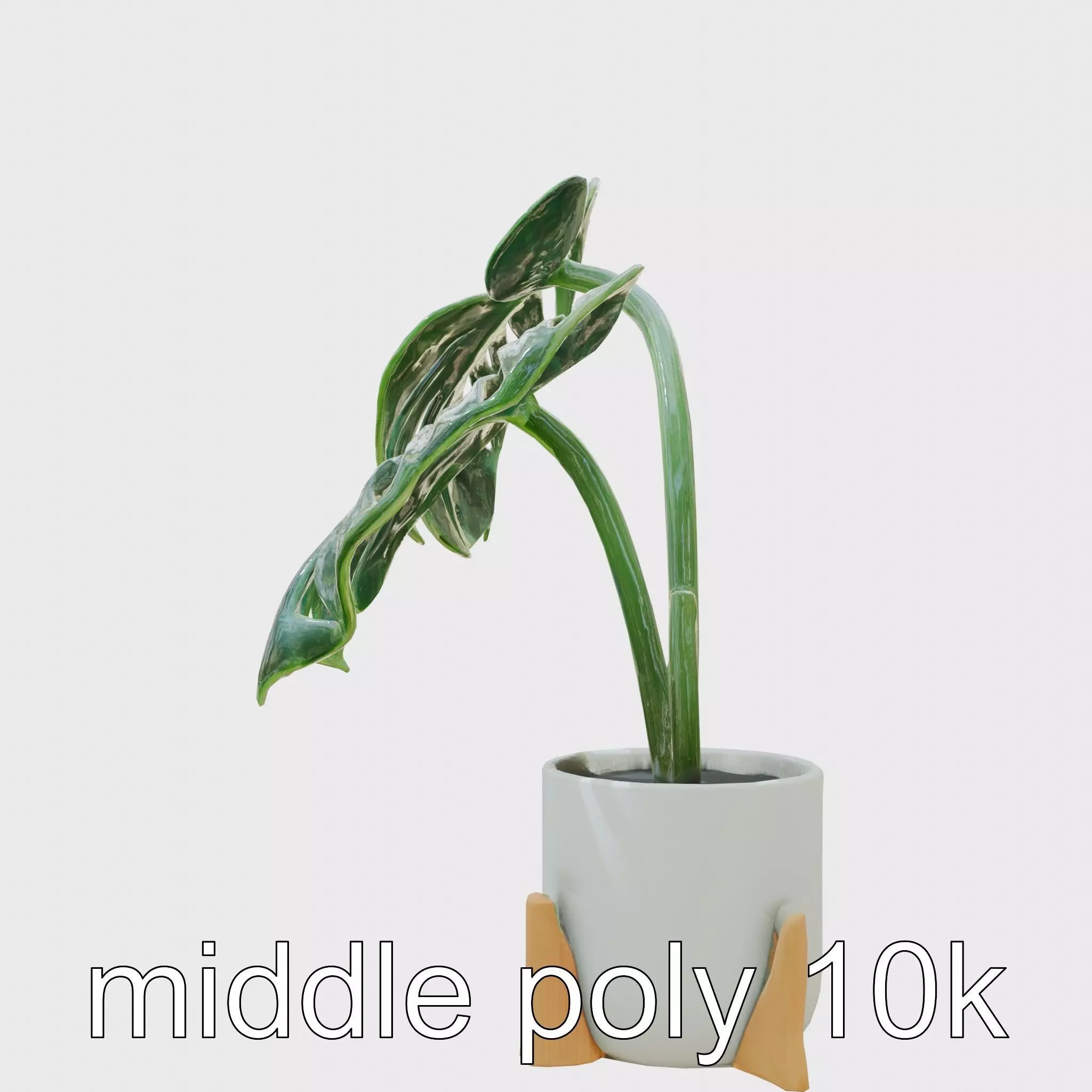 Monstera Plant in Ceramic Pot model pack Low-poly 3D model_0
