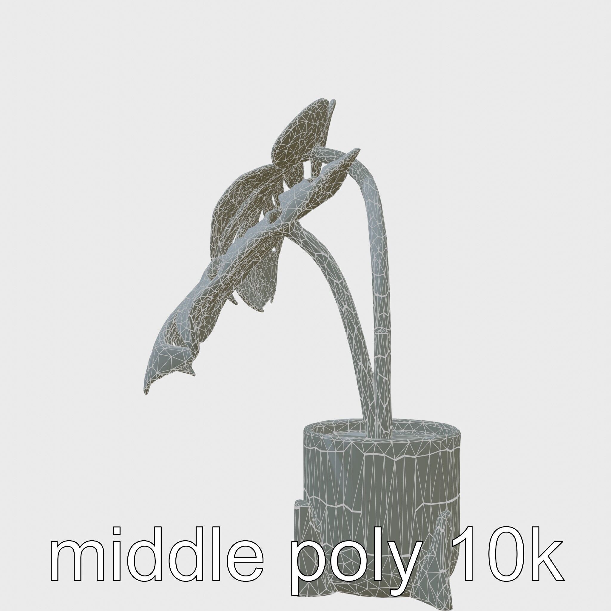 Monstera Plant in Ceramic Pot model pack Low-poly 3D model_9