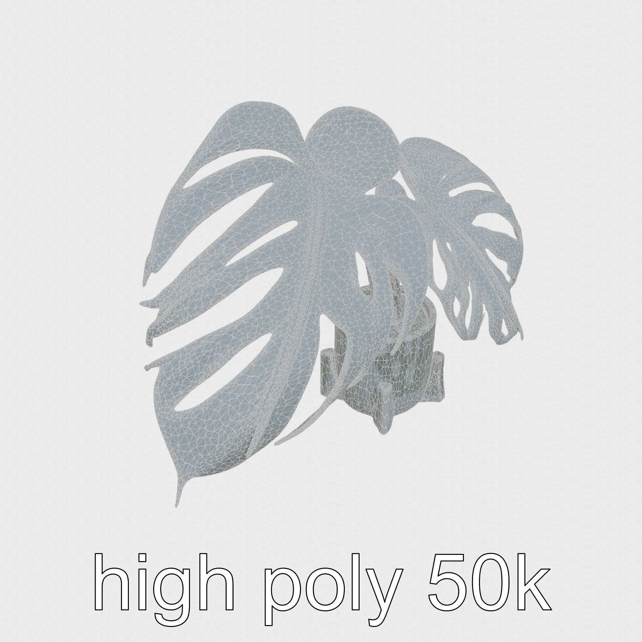 Monstera Plant in Ceramic Pot model pack Low-poly 3D model_26