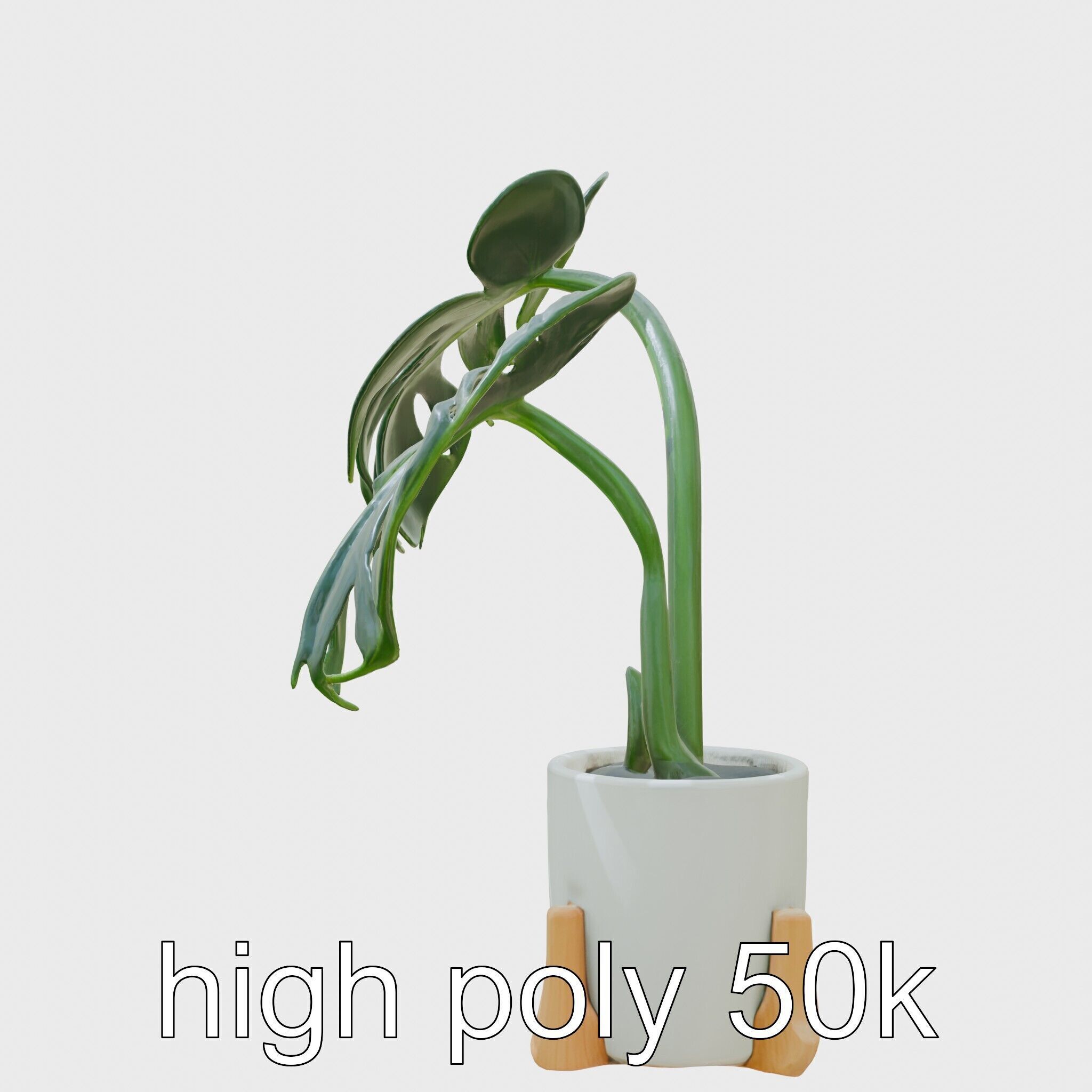 Monstera Plant in Ceramic Pot model pack Low-poly 3D model_14