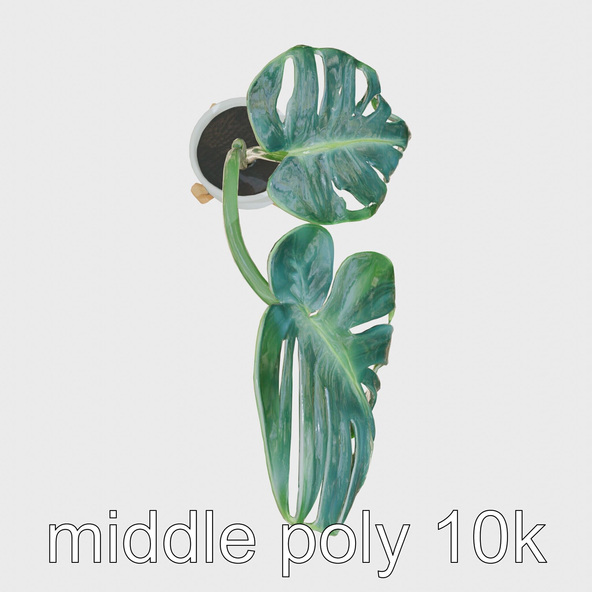Monstera Plant in Ceramic Pot model pack Low-poly 3D model_21