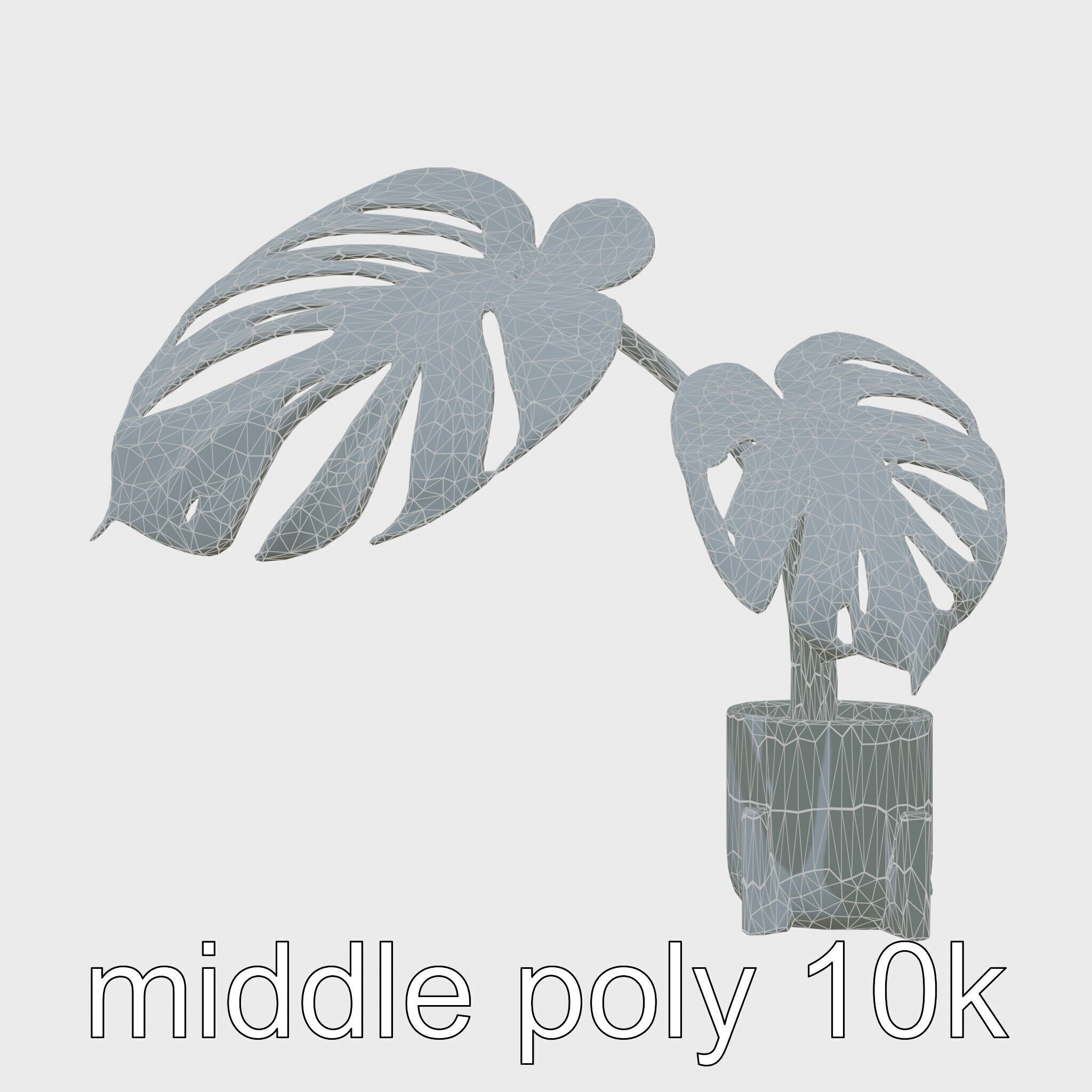 Monstera Plant in Ceramic Pot model pack Low-poly 3D model_16