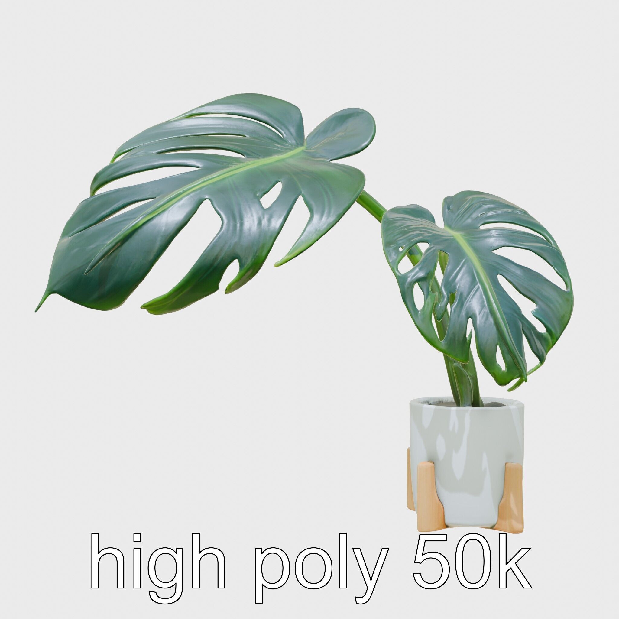 Monstera Plant in Ceramic Pot model pack Low-poly 3D model_5