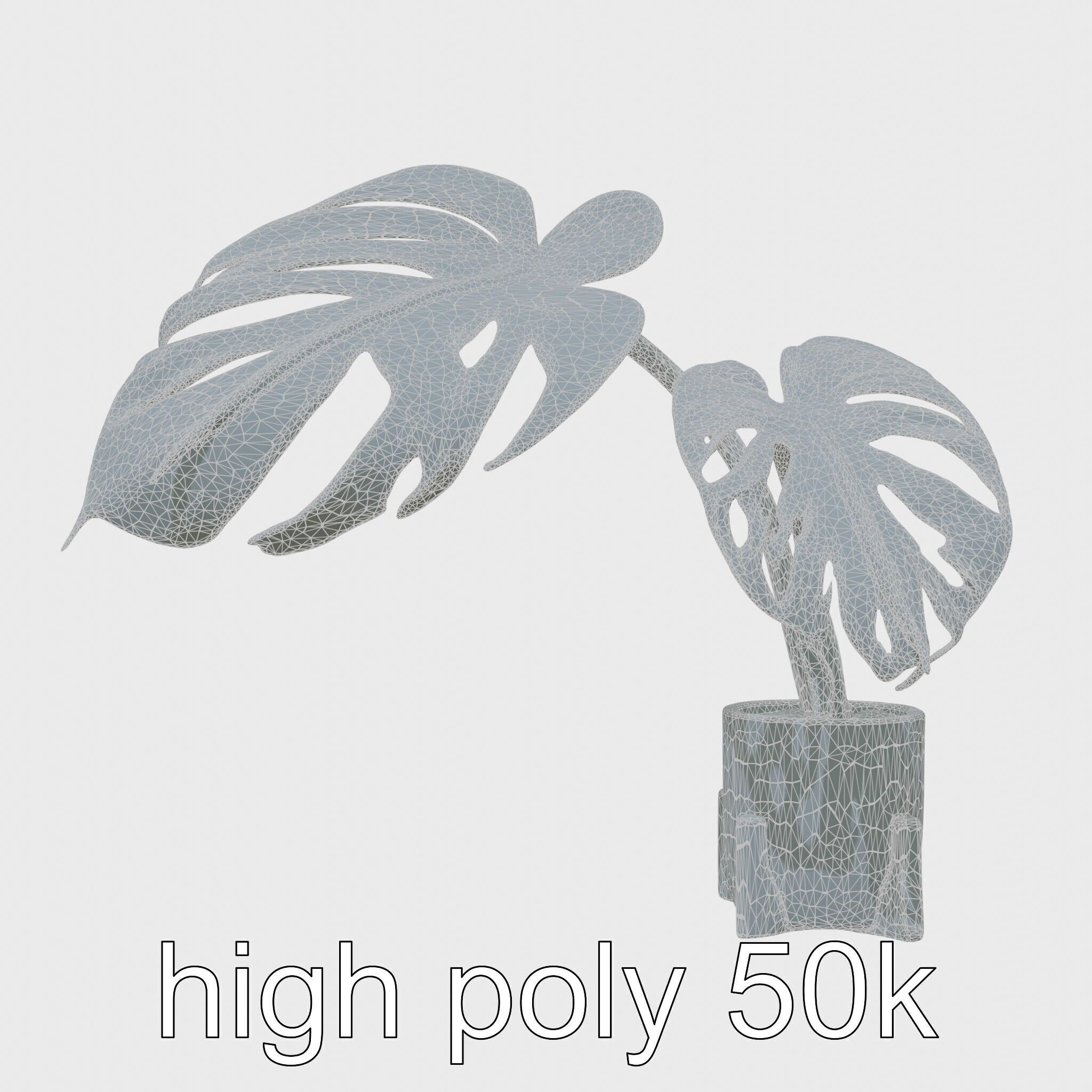 Monstera Plant in Ceramic Pot model pack Low-poly 3D model_8