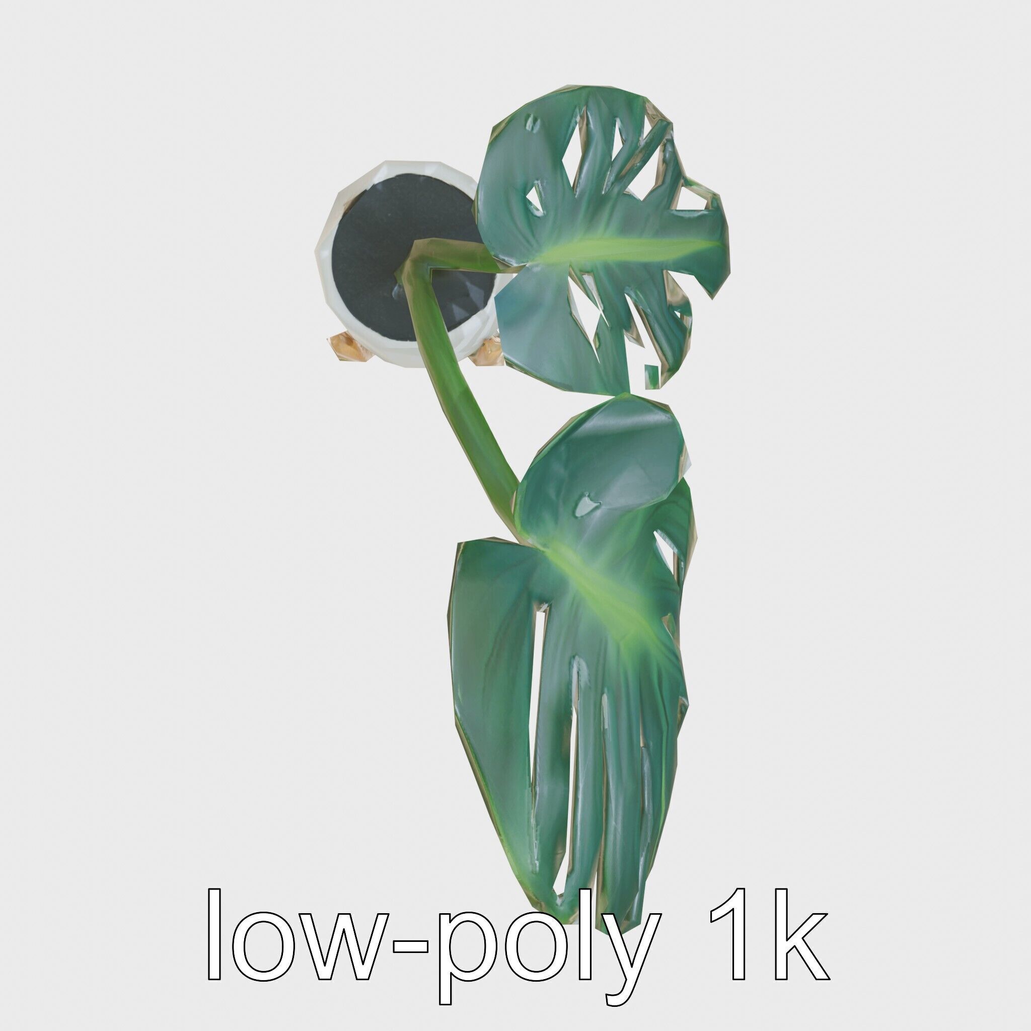 Monstera Plant in Ceramic Pot model pack Low-poly 3D model_22