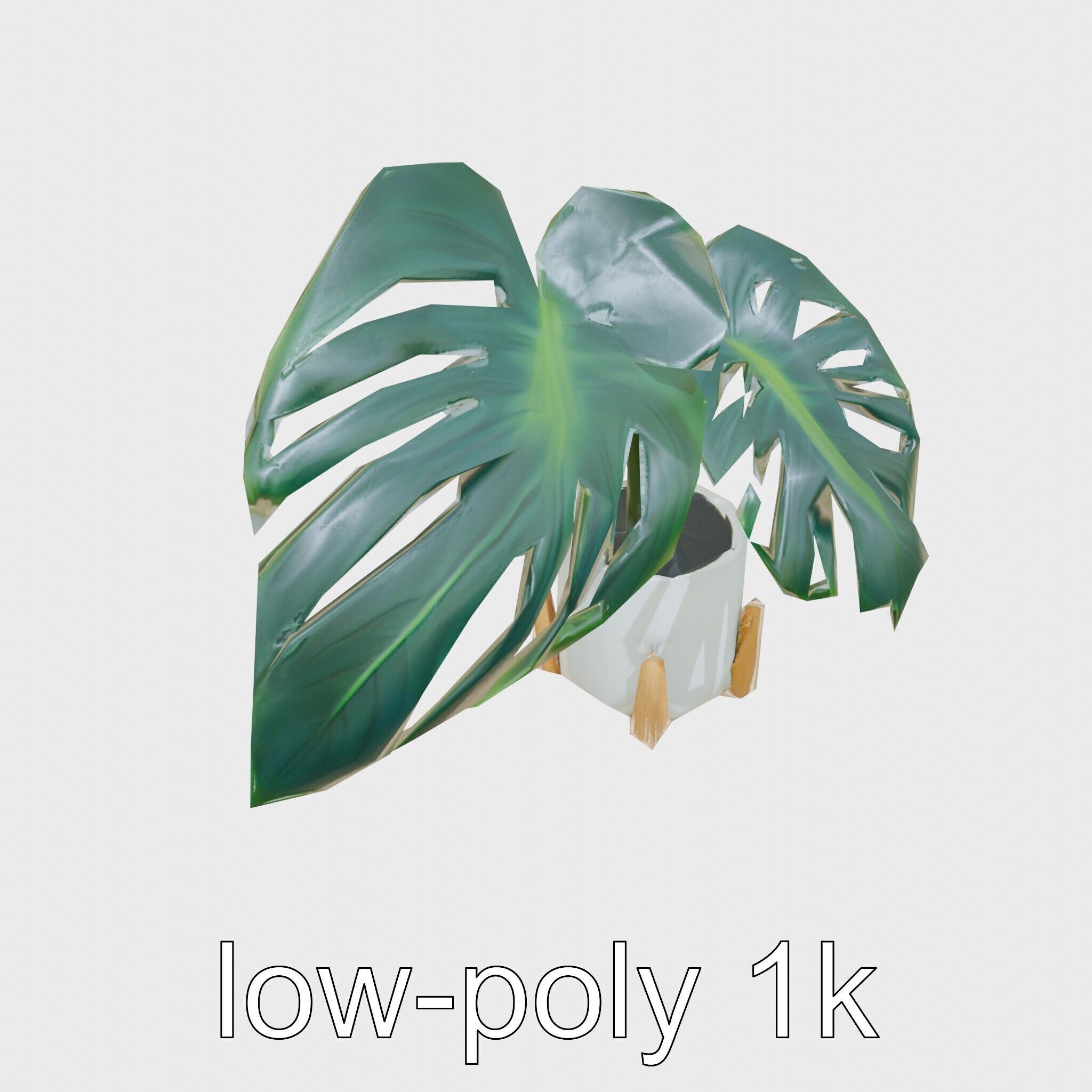 Monstera Plant in Ceramic Pot model pack Low-poly 3D model_27