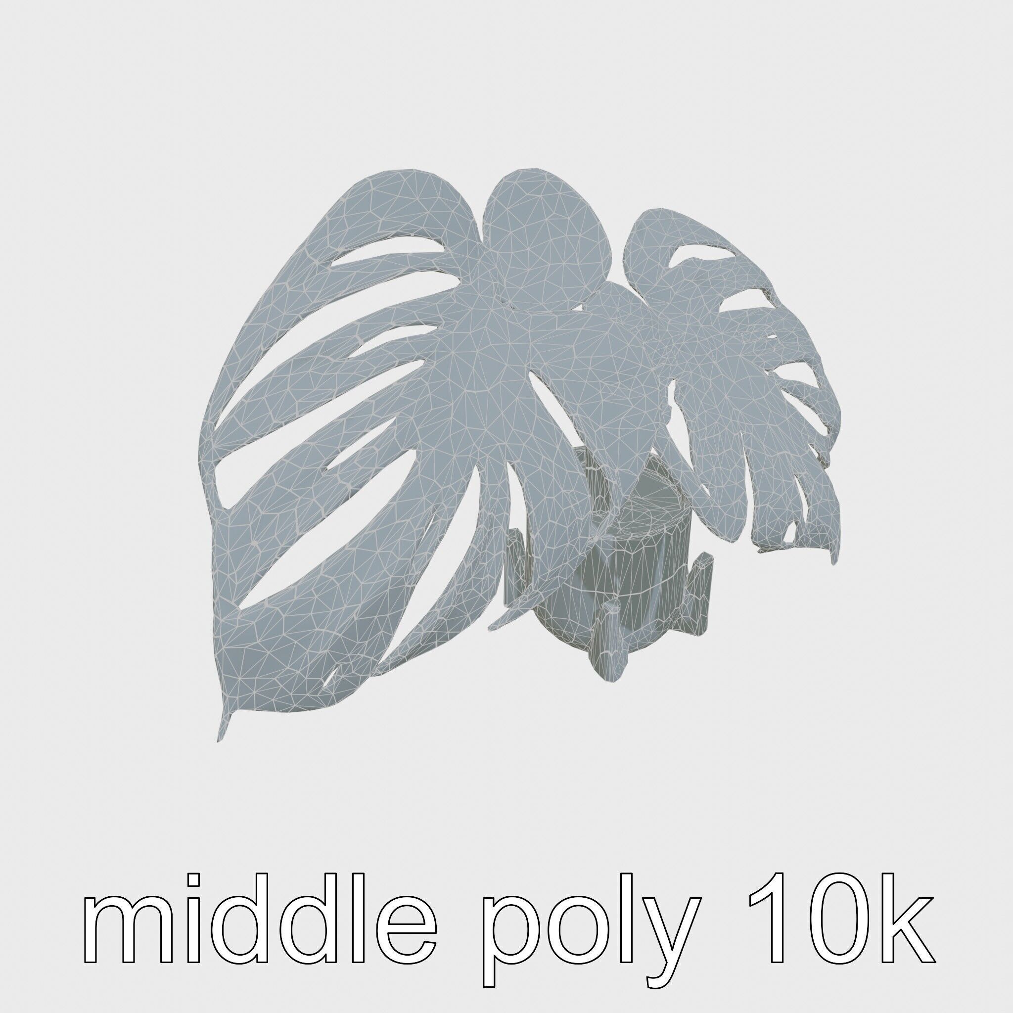 Monstera Plant in Ceramic Pot model pack Low-poly 3D model_17