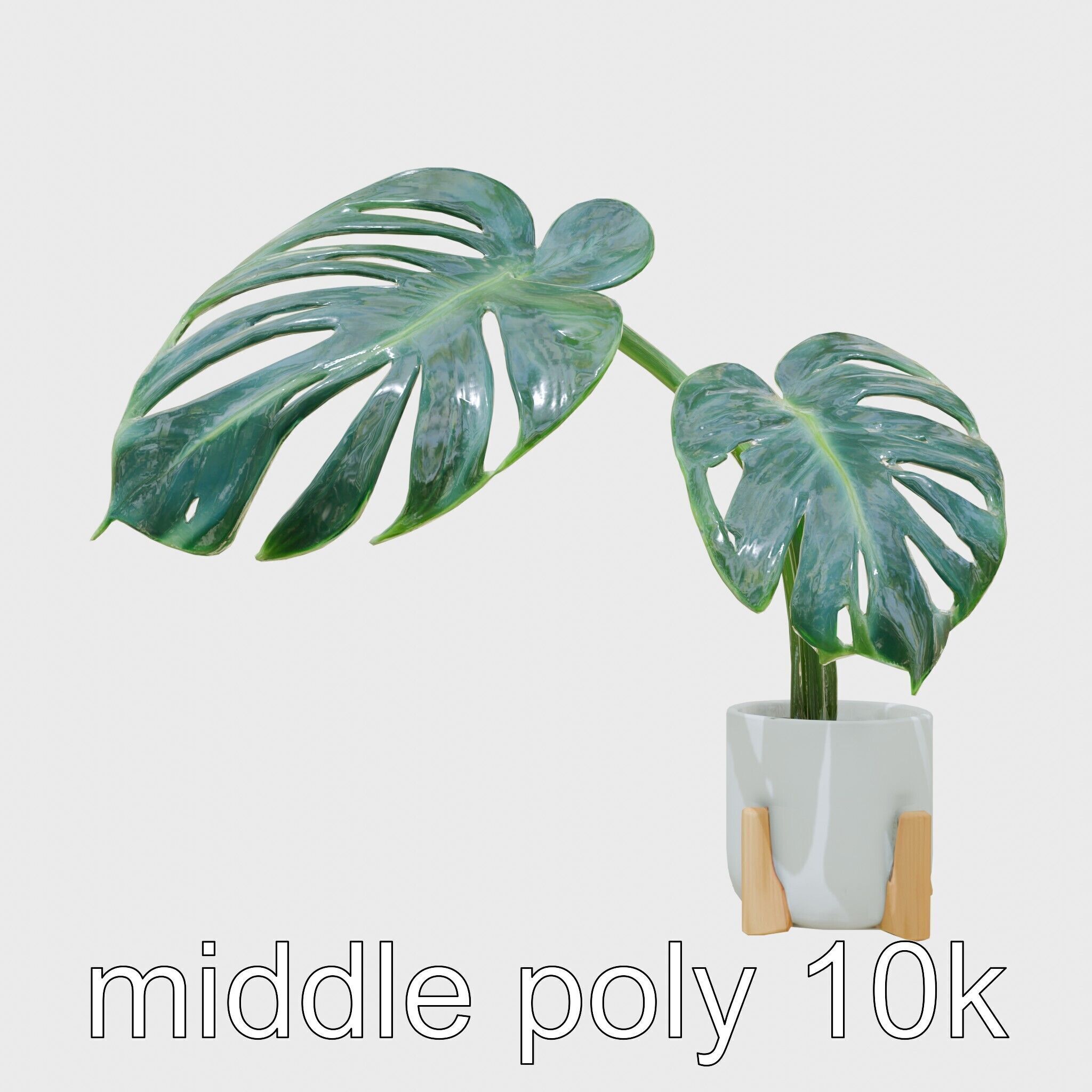 Monstera Plant in Ceramic Pot model pack Low-poly 3D model_33