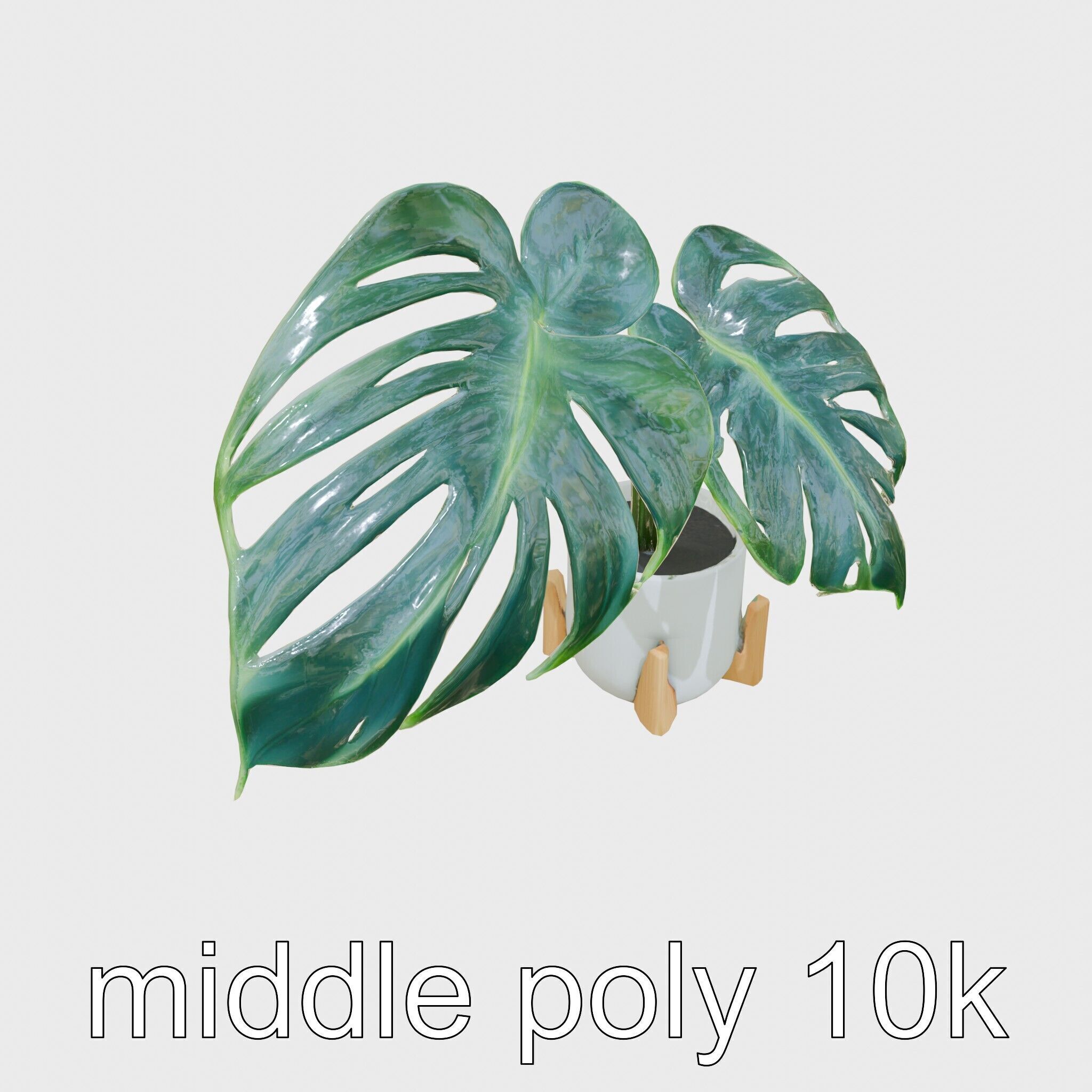 Monstera Plant in Ceramic Pot model pack Low-poly 3D model_12
