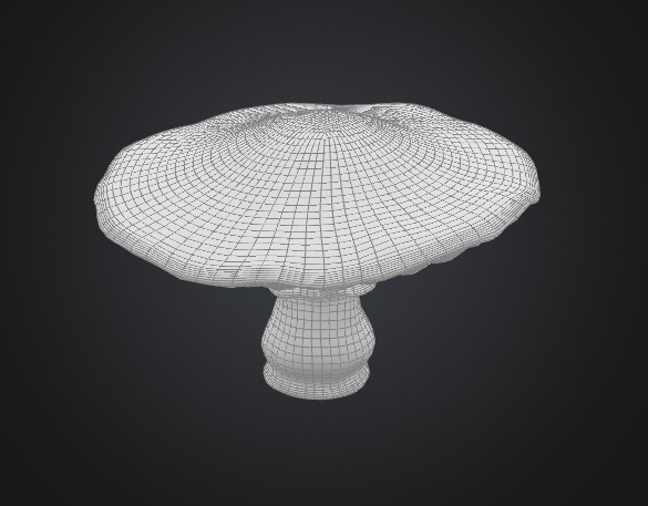 Flat mushroom 3D model_4