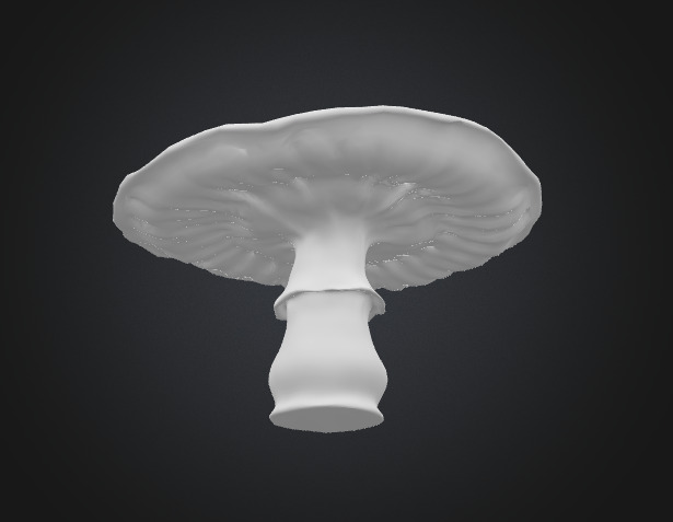 Flat mushroom 3D model_3
