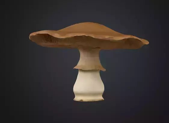 Flat mushroom 3D model
