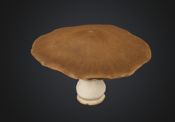 Flat mushroom 3D model_1